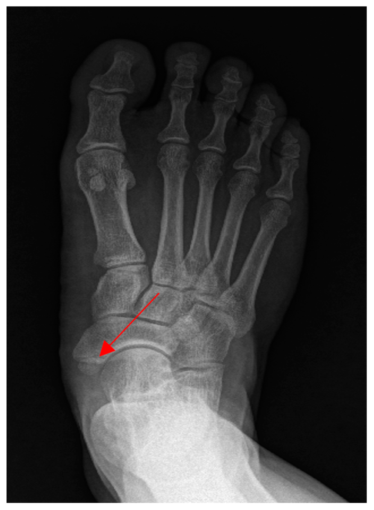 Ijerph 19 04845 g001 Ijerph 19 04845 g001