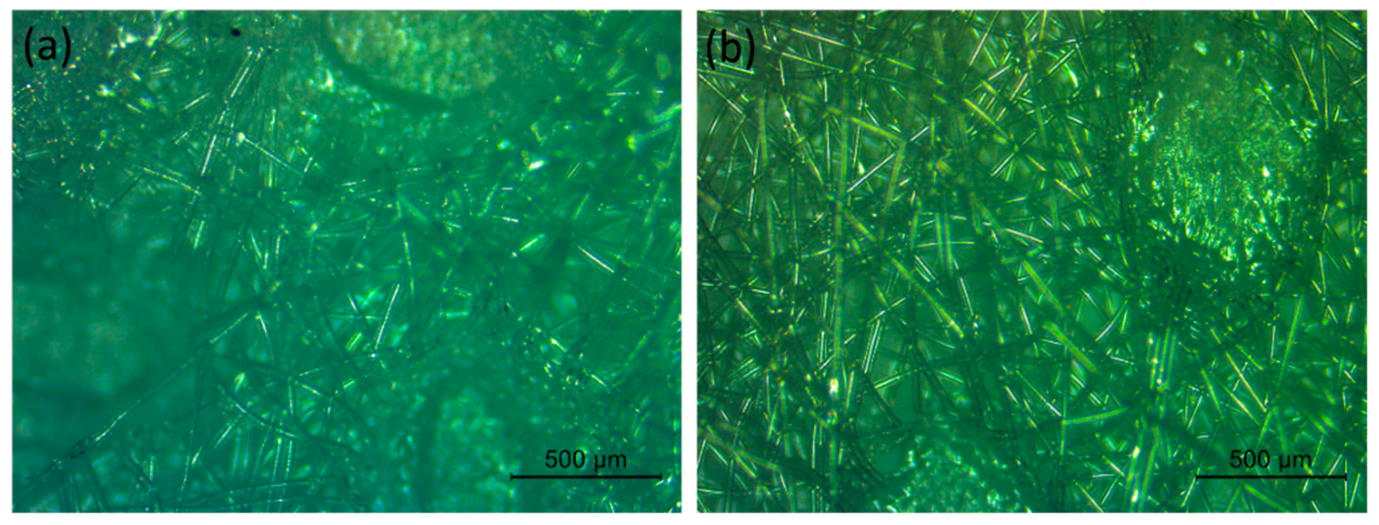 Ijerph 19 04854 g002