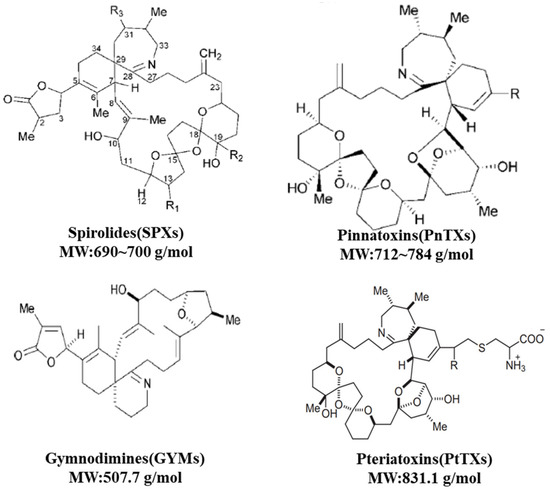 planet fitness jobs beaumont ca