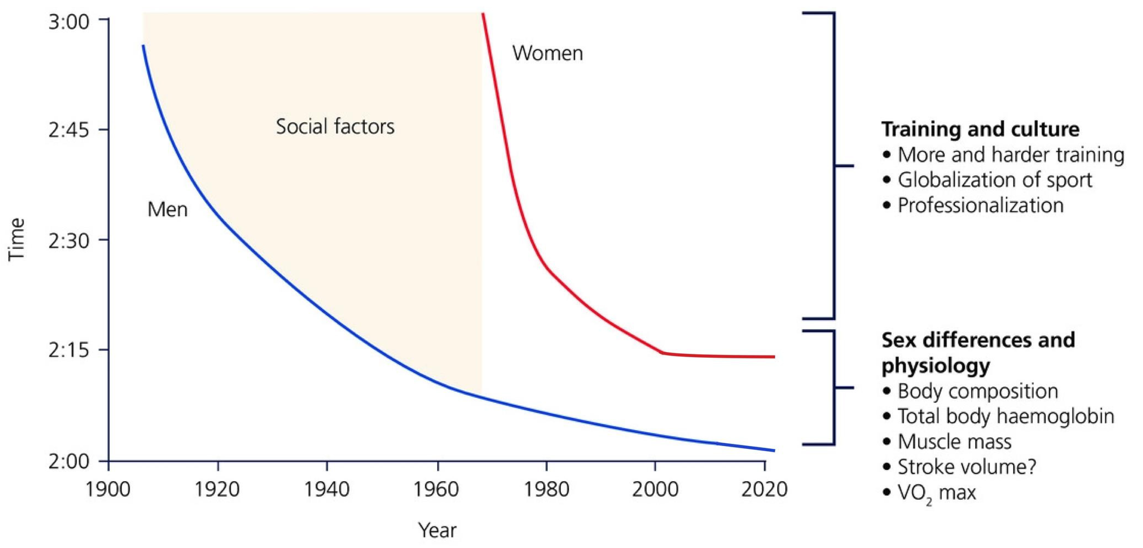 IJERPH Free FullText Sex Differences in VO2max and the Impact on