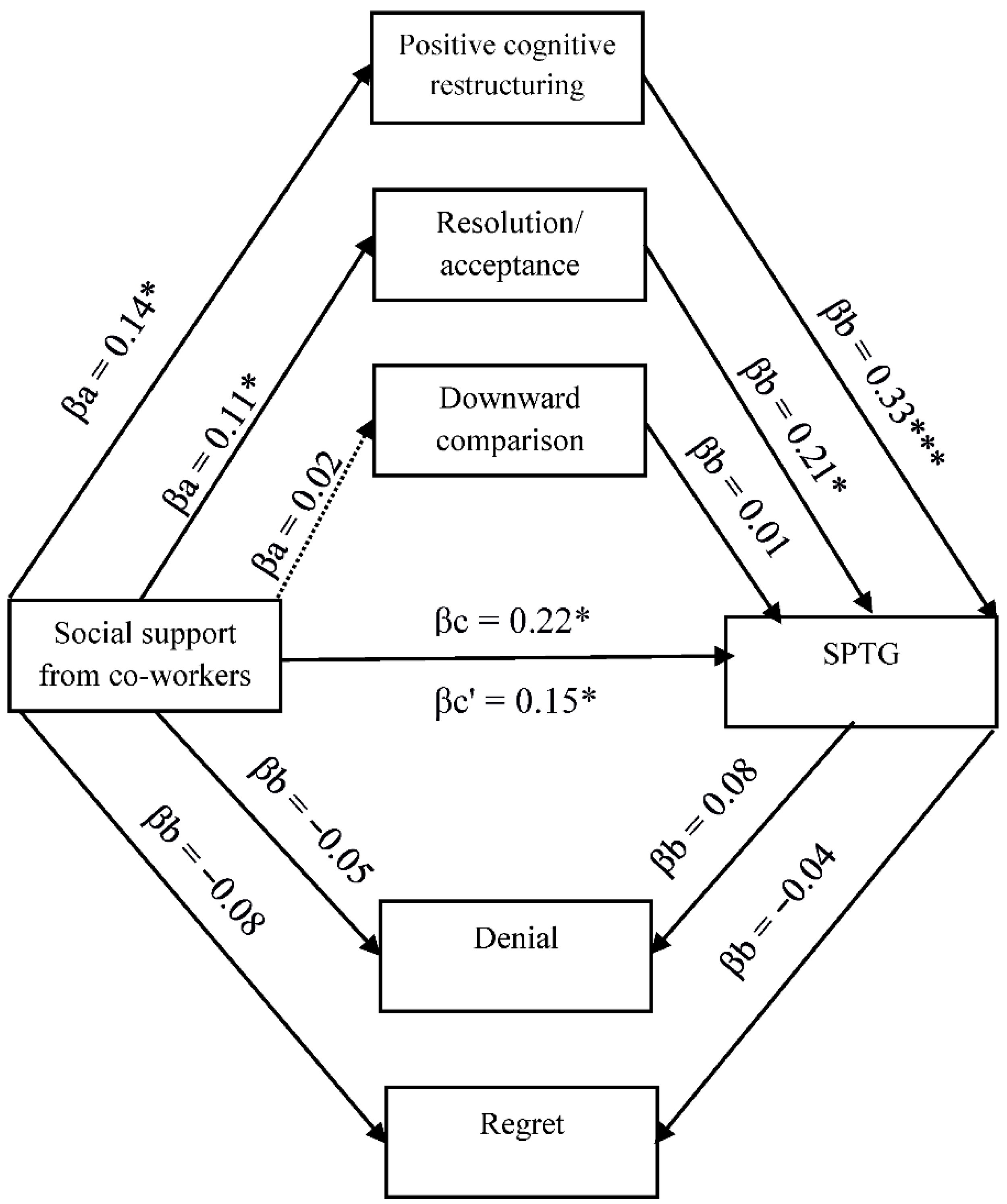 Positive Psychological Approaches to Disaster: Meaning， Resilience， and Posttraumatic Growth [ハードカバー] Schulenberg， Stefan E. The Relationship between Social Support and Secondary