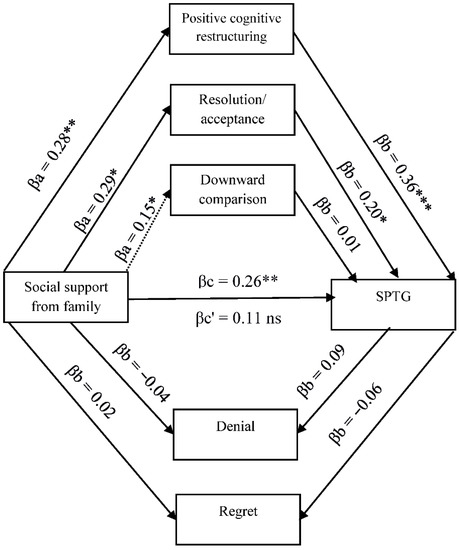 The Relationship between Social Support and Secondary