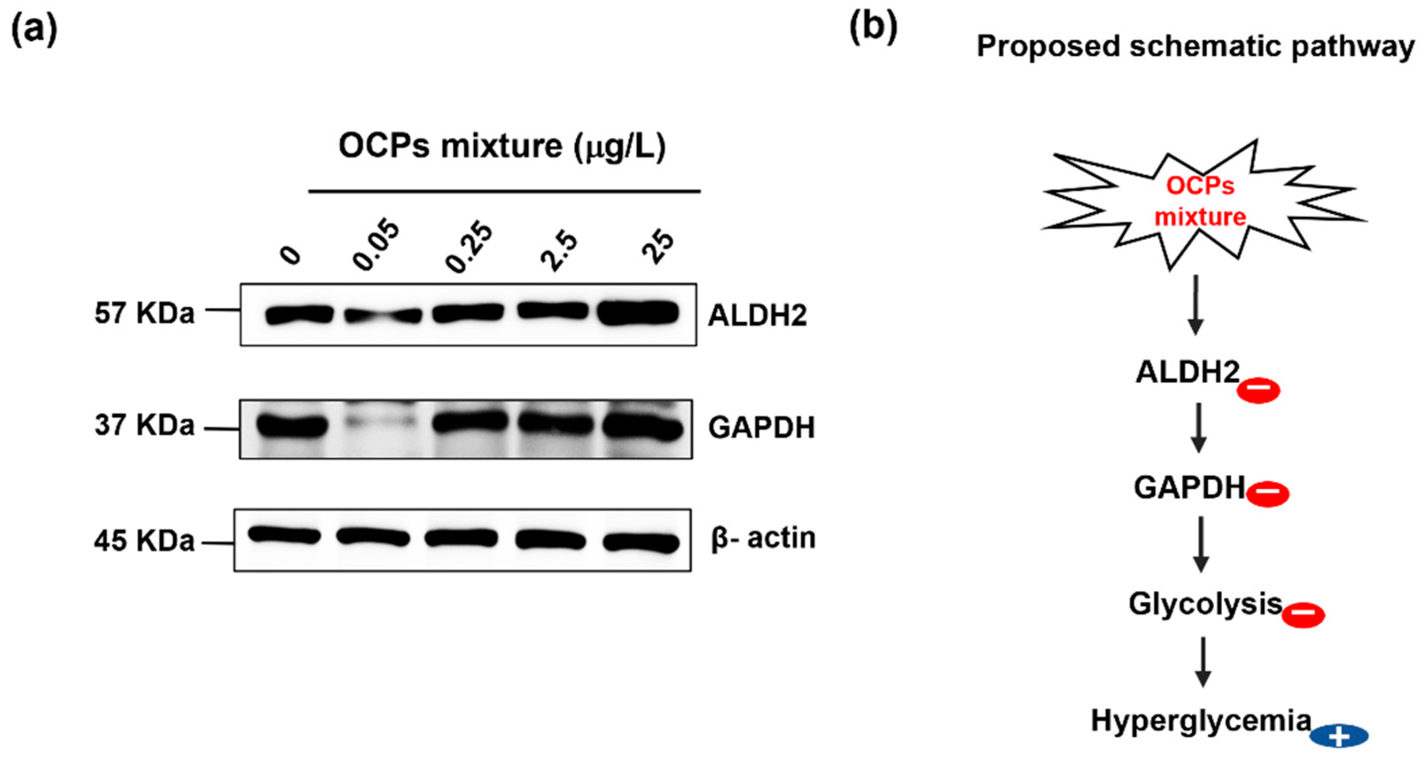 Ijerph 19 04991 g004