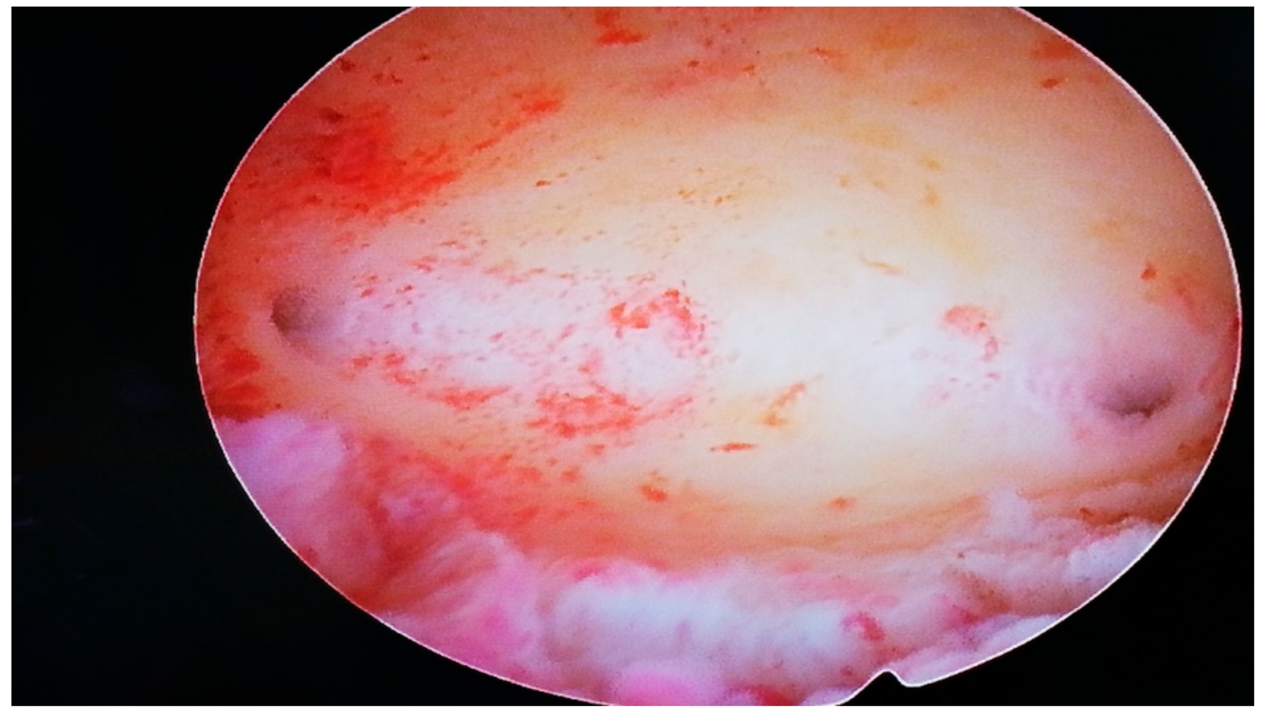 Ijerph 19 05027 g001