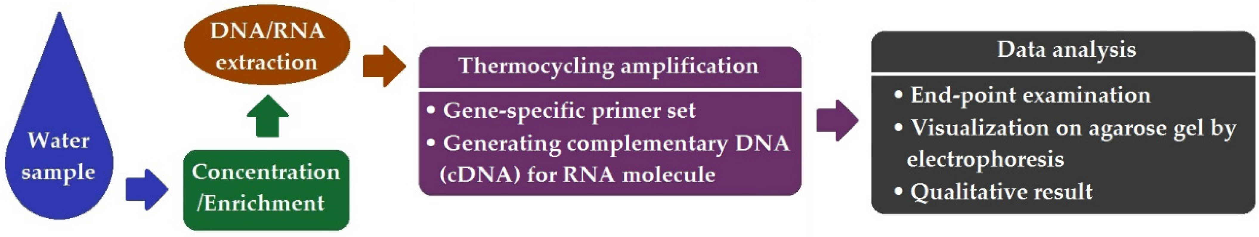 Ijerph 19 05128 g001 550