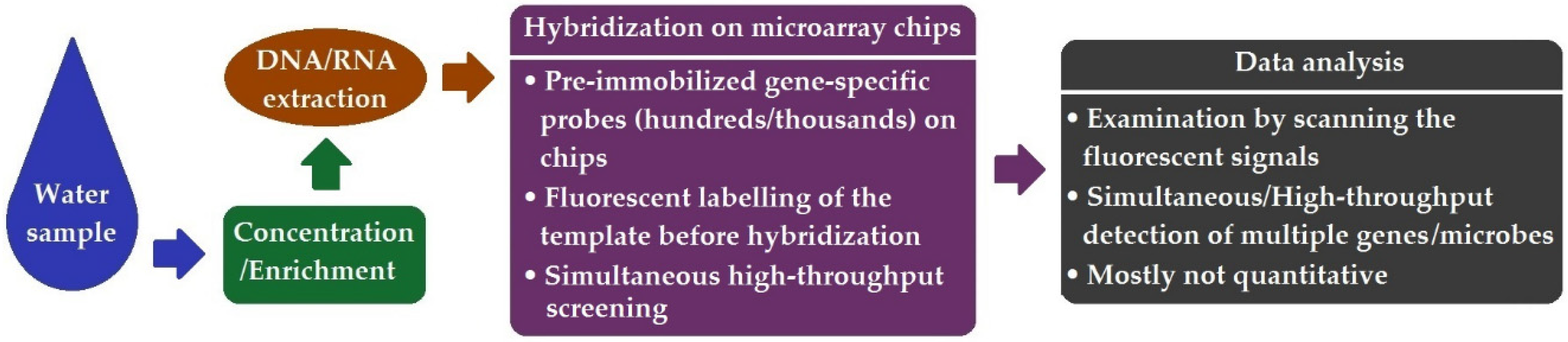 Ijerph 19 05128 g002 550