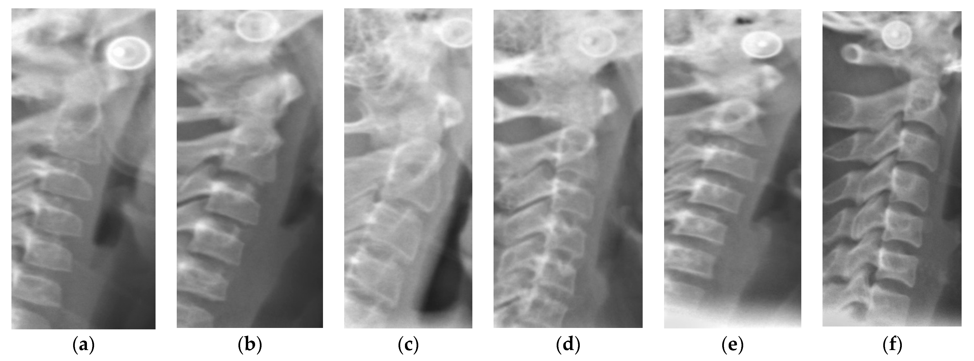 Ijerph 19 05172 g001 550