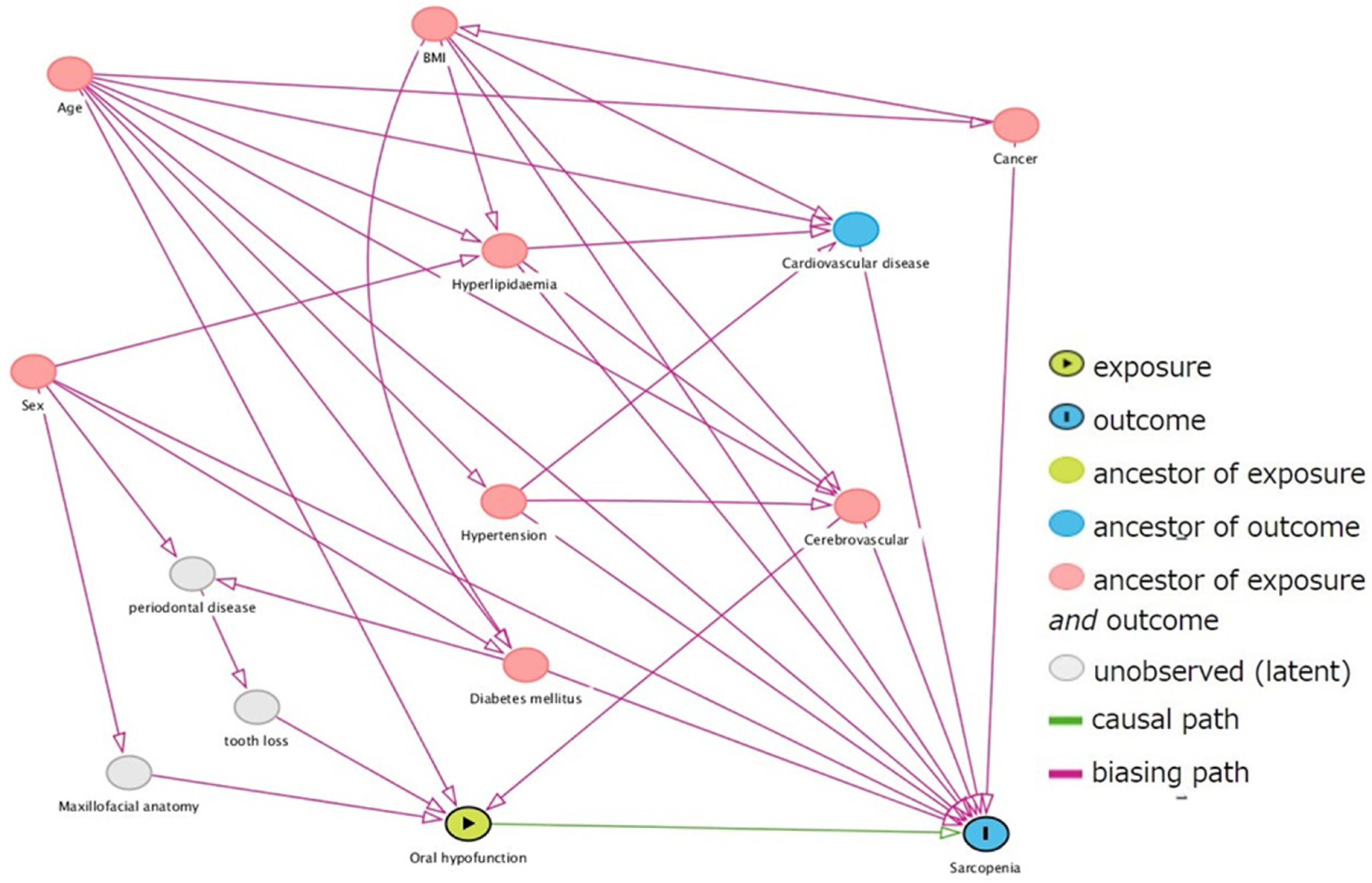 Ijerph 19 05178 g001 550