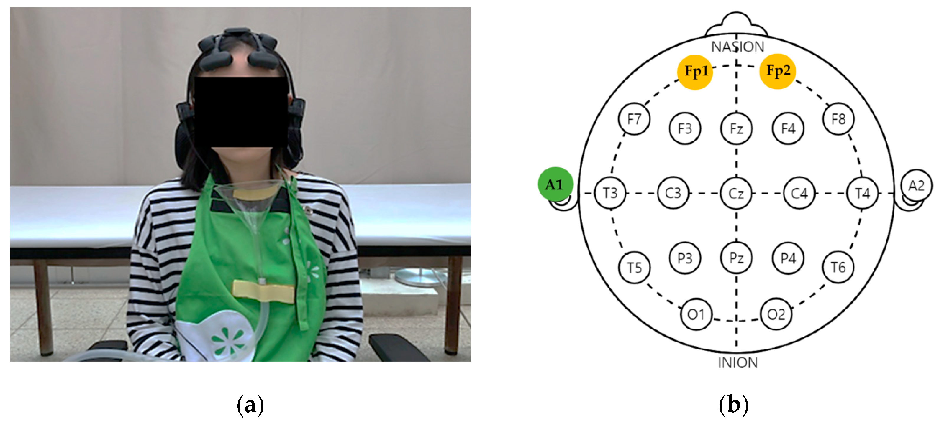 Ijerph 19 05196 g002