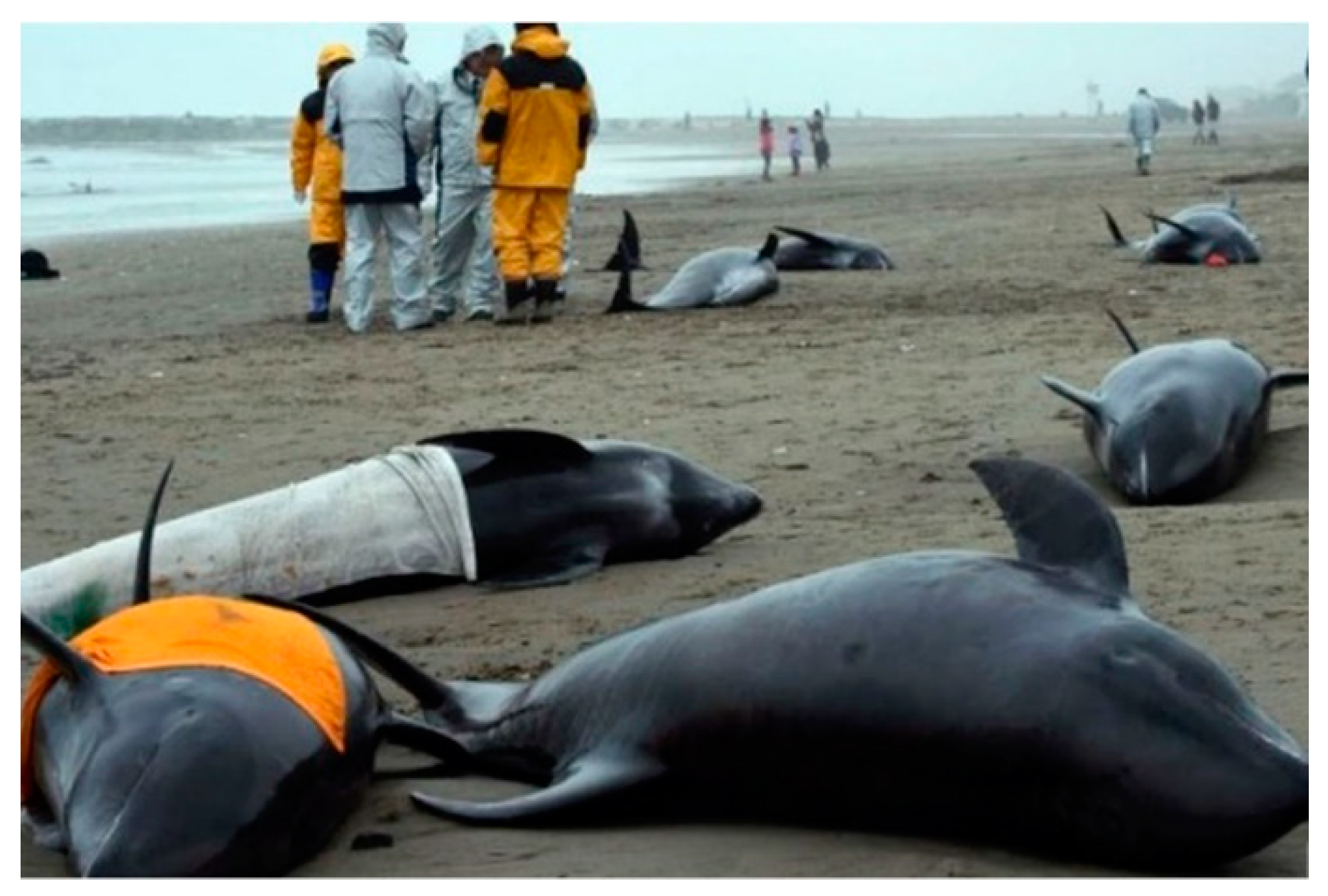 Ijerph 19 05210 g0a3