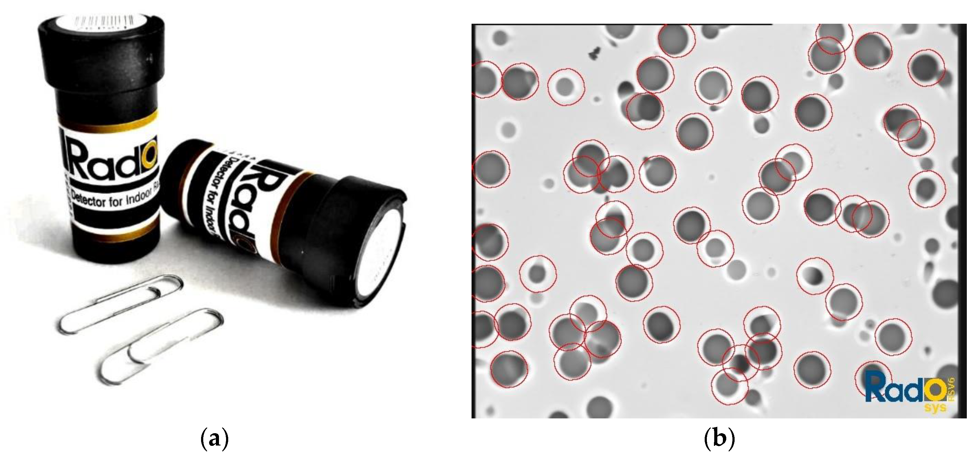 Ijerph 19 05214 g003