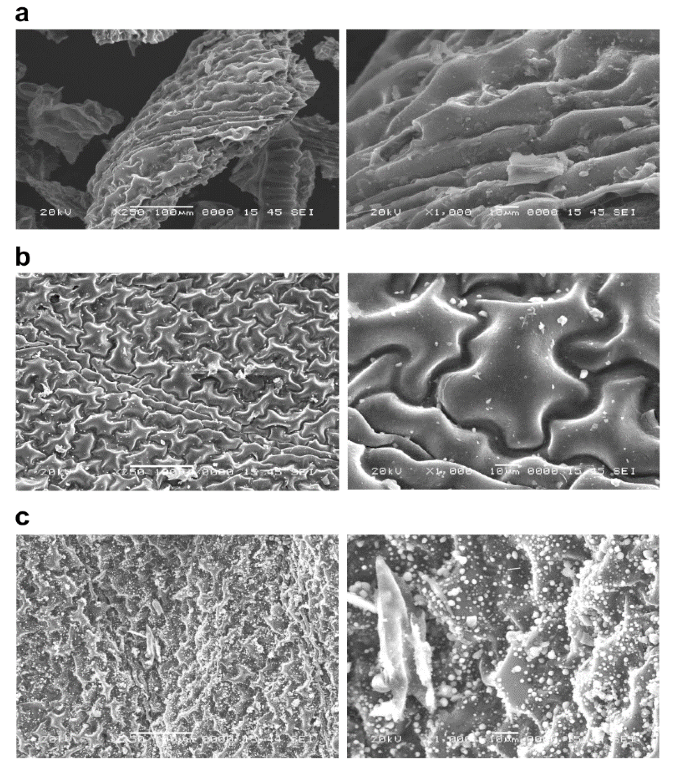 Ijerph 19 05226 g001