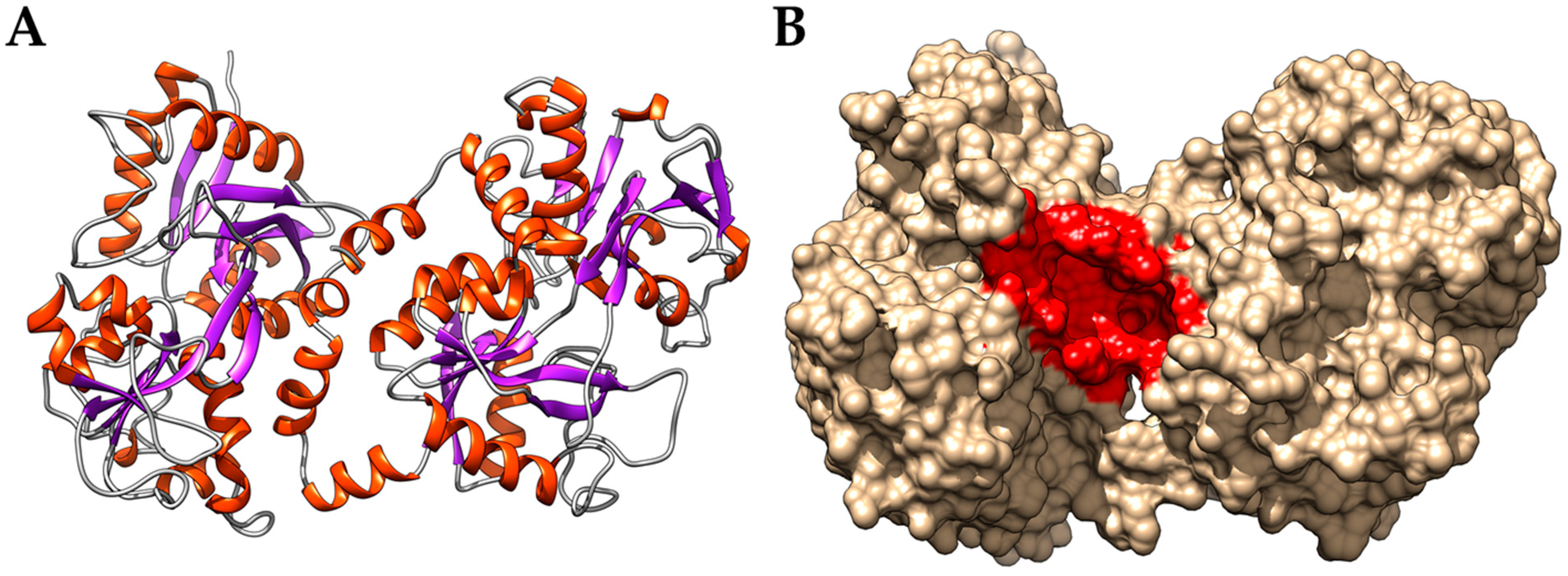 Ijerph 19 05254 g001