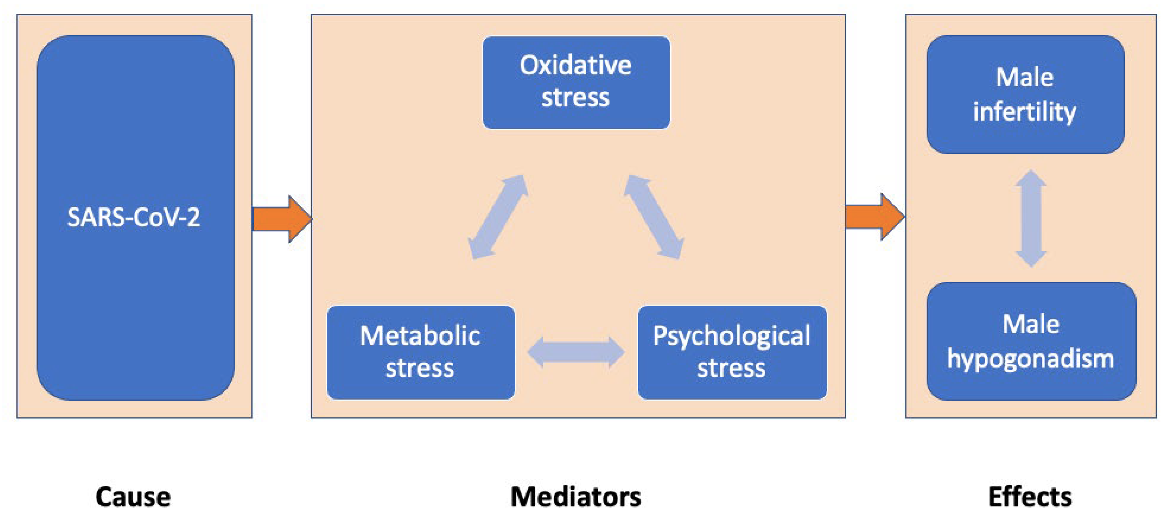 Ijerph 19 05277 g001 550