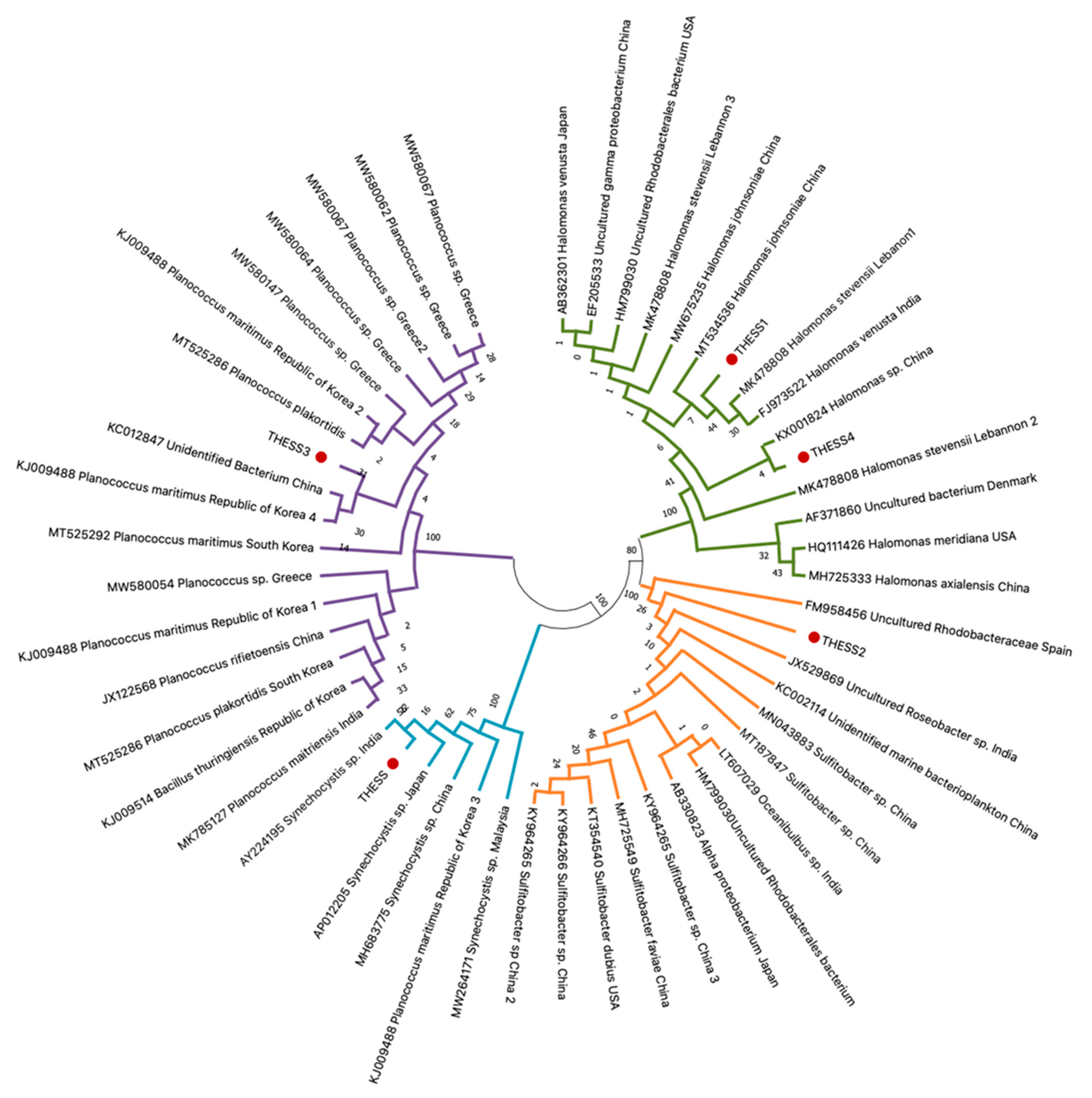 Ijerph 19 05285 g002 550