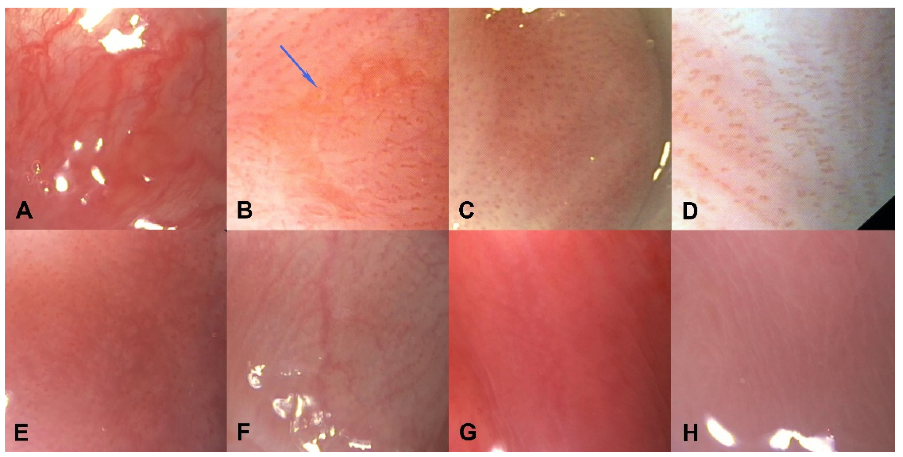 Ijerph 19 05298 g002 550