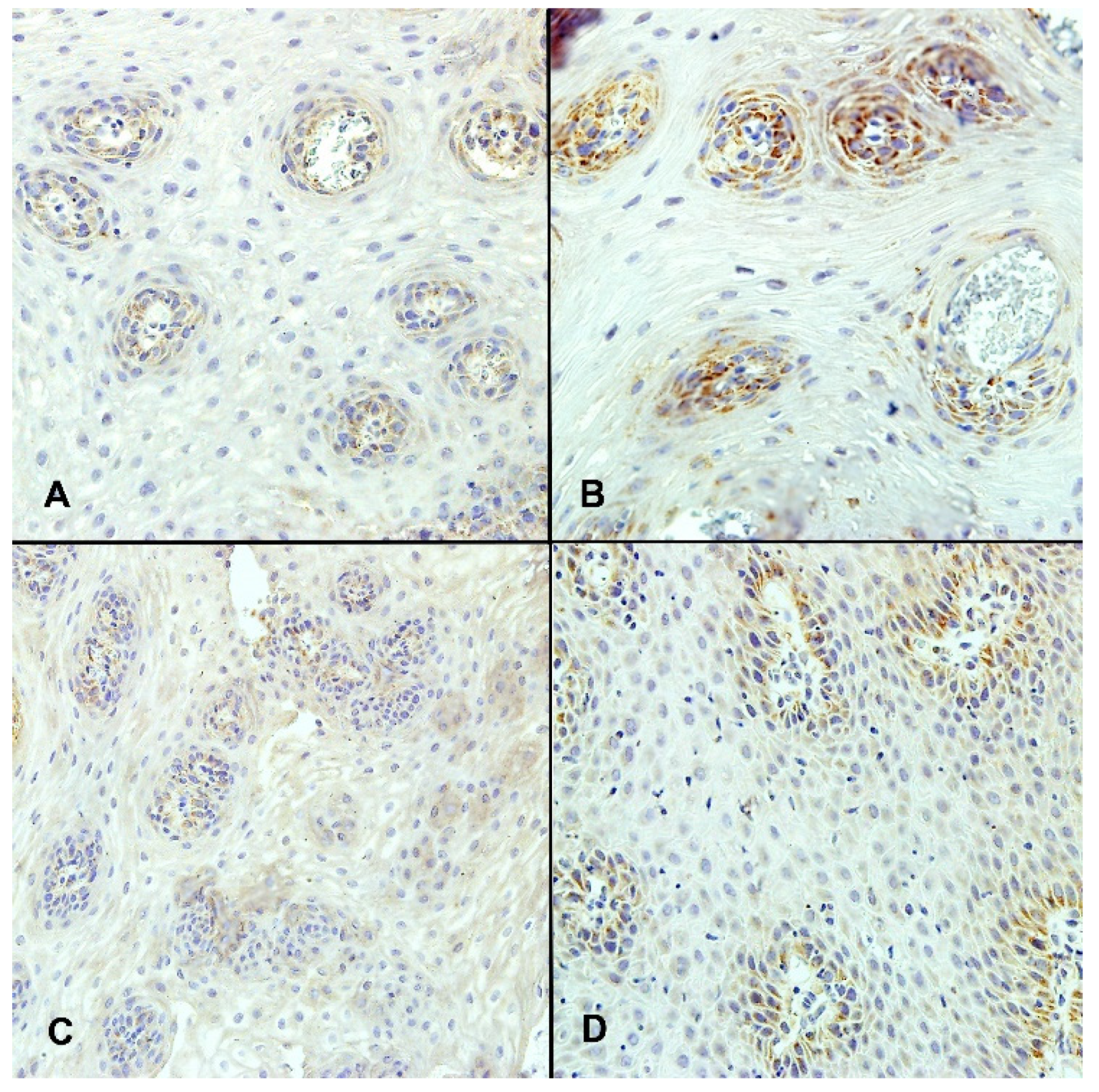 Ijerph 19 05298 g003 550