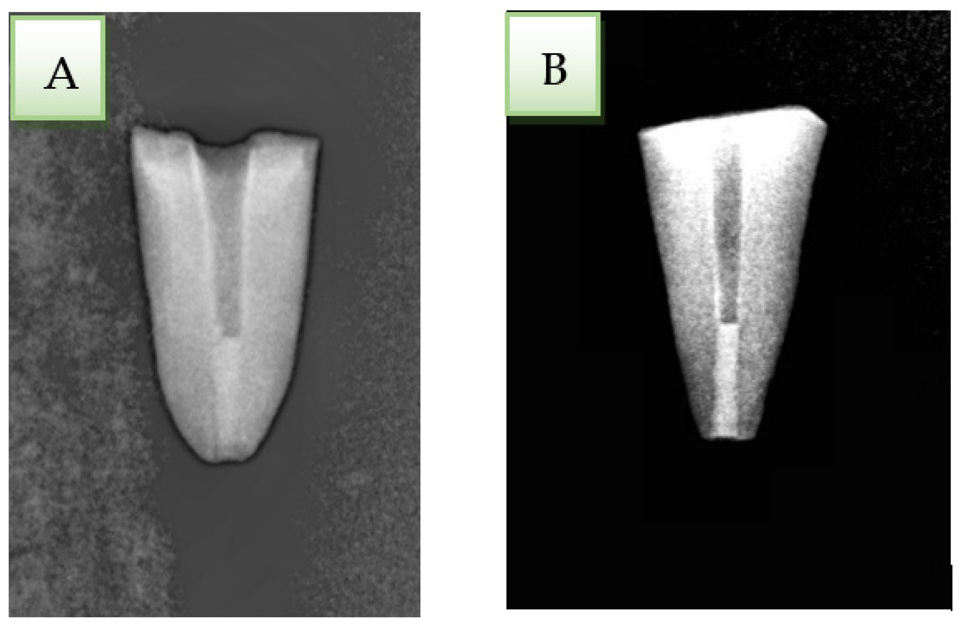 Ijerph 19 05304 g002