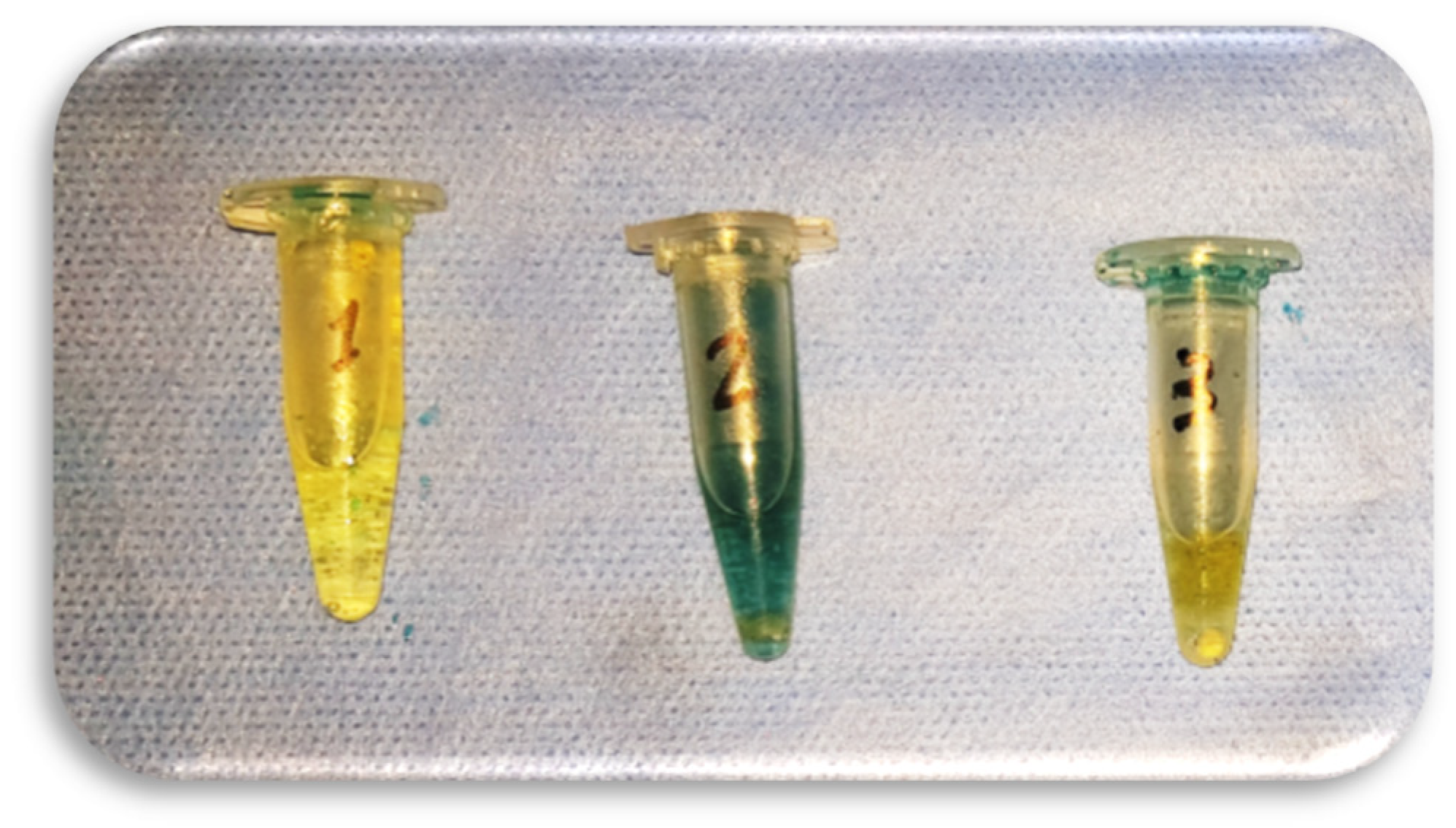 Ijerph 19 05304 g003