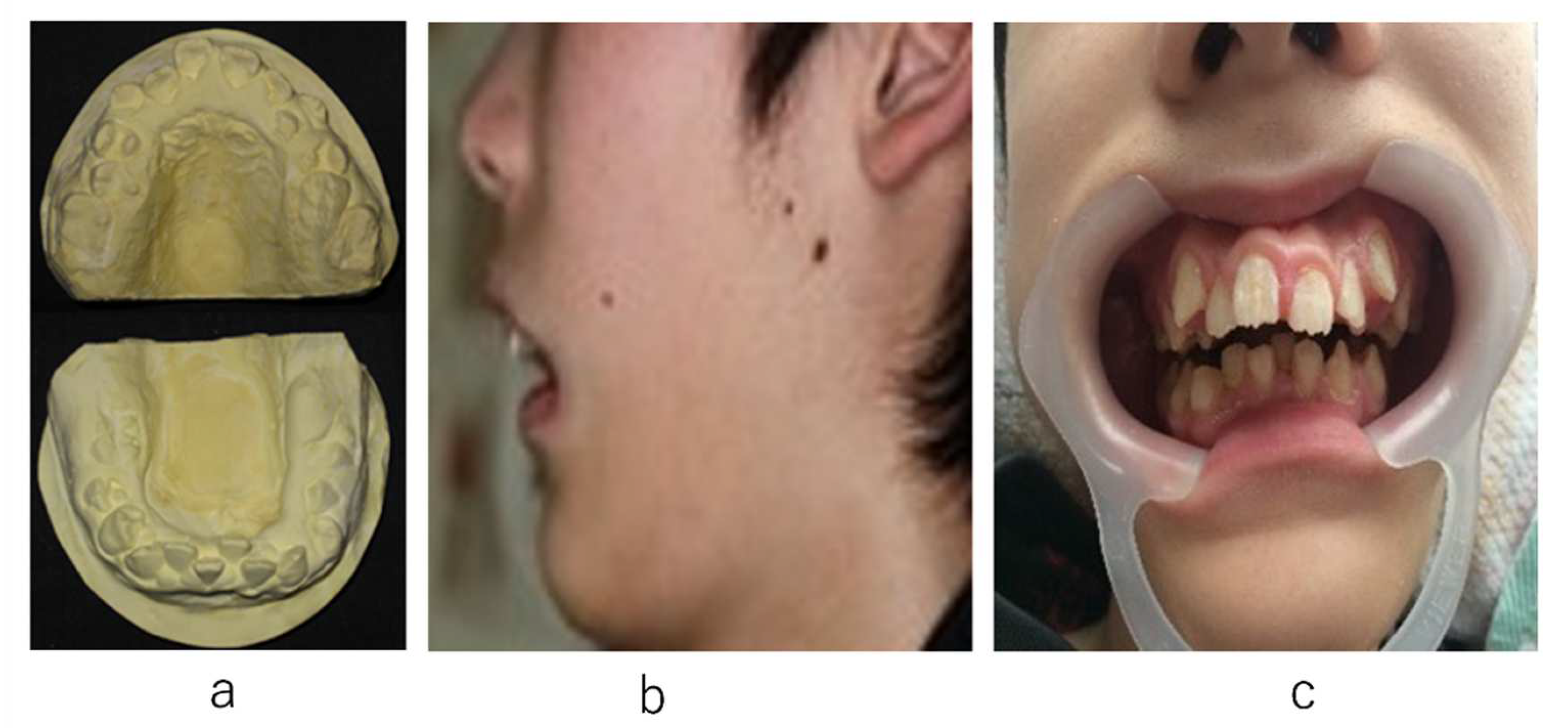 Ijerph 19 05333 g001