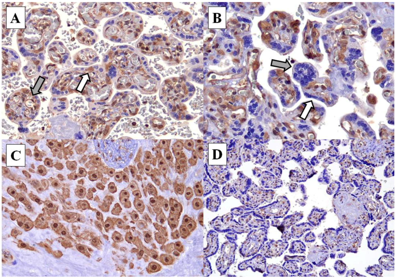 Ijerph 19 05448 g001