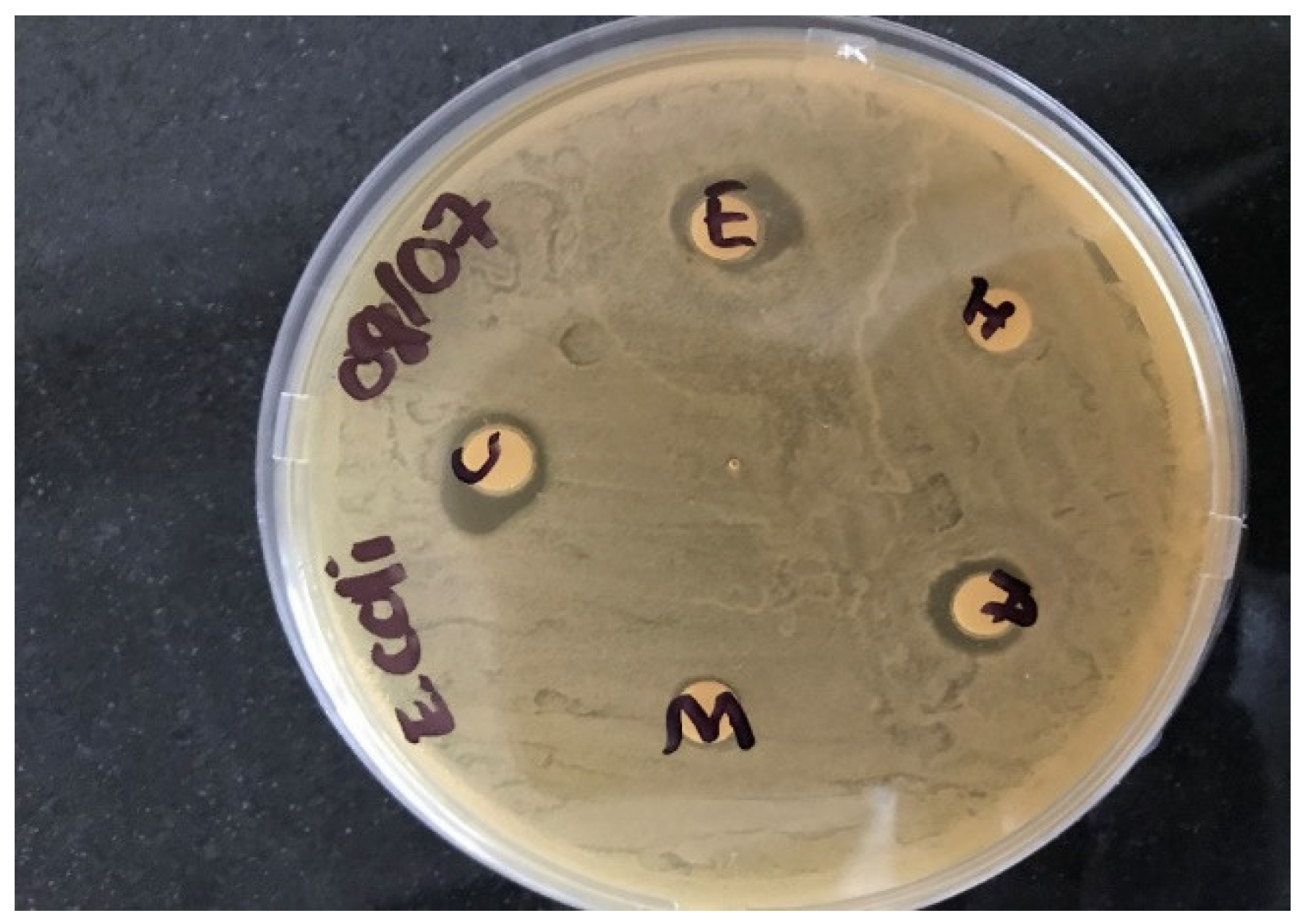 Ijerph 19 05462 g002 550