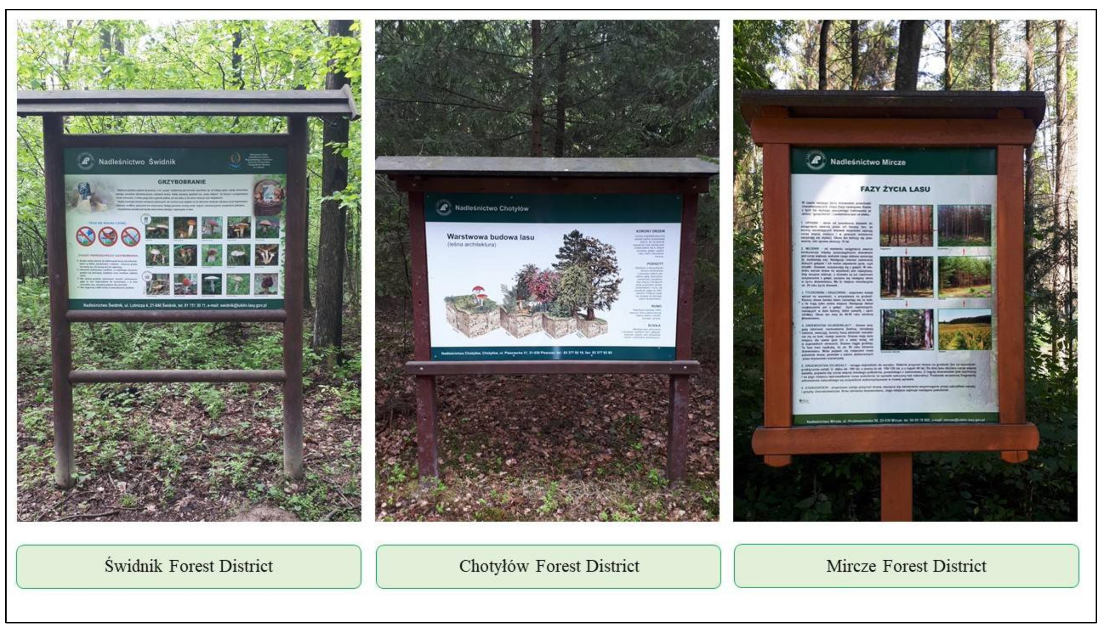 Ijerph 19 05493 sch002 Ijerph 19 05493 sch002