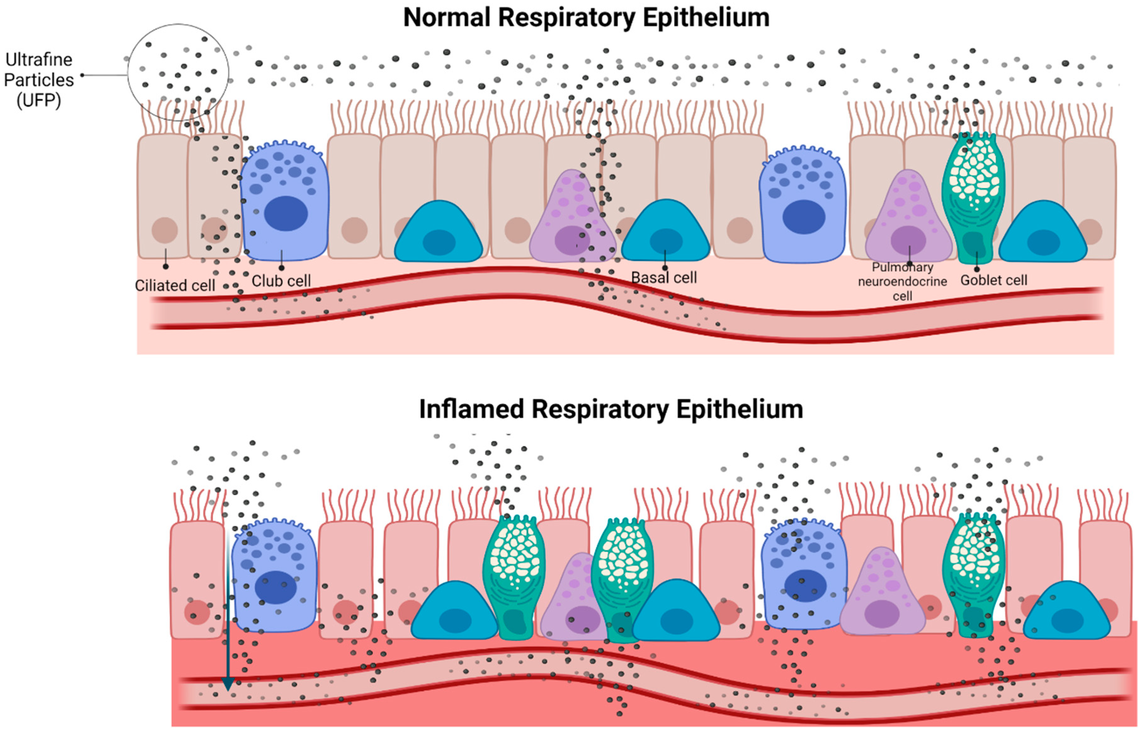 Ijerph 19 05507 g003