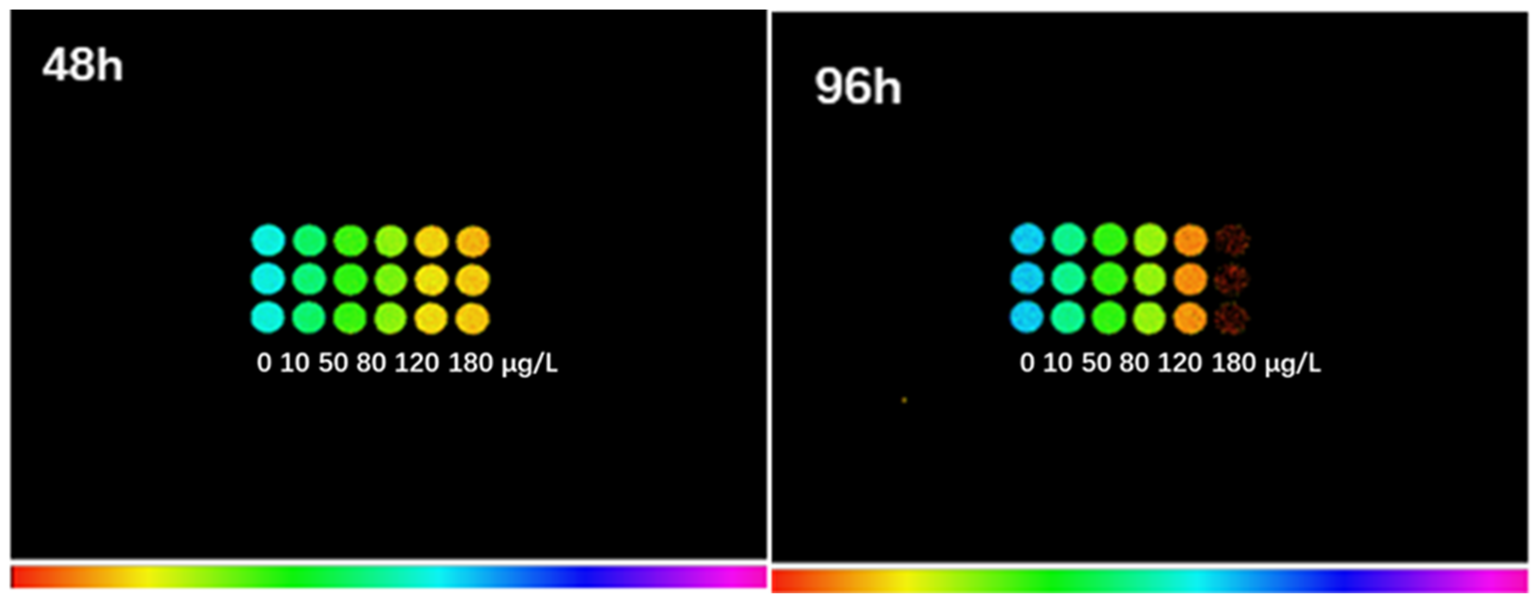 Ijerph 19 05545 g005