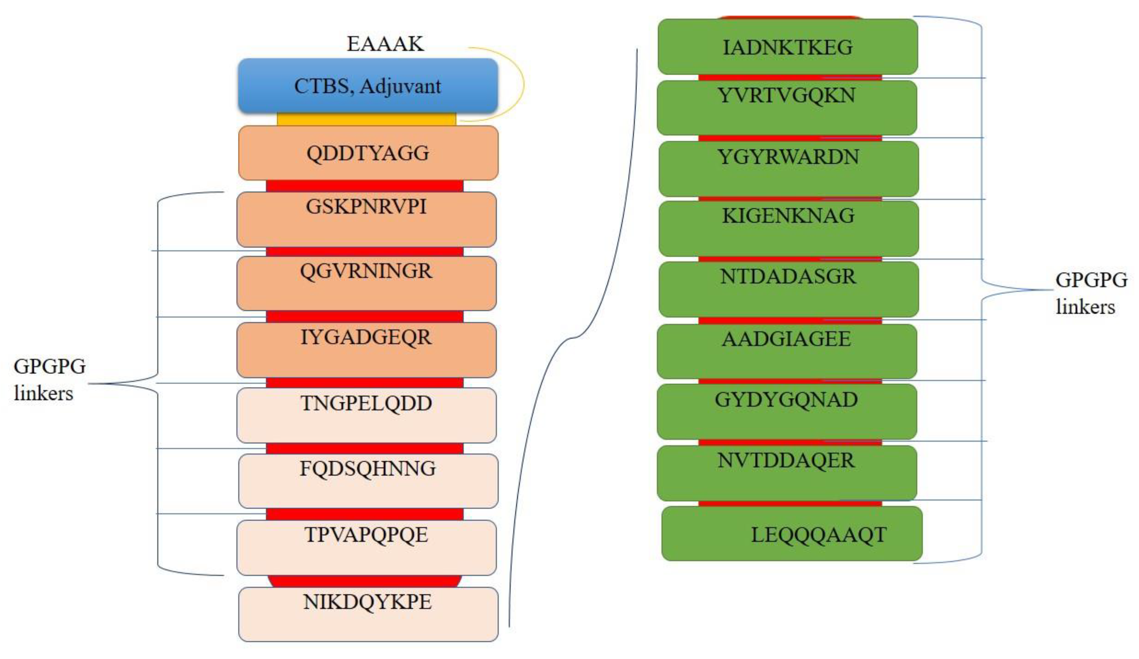 Ijerph 19 05568 g005