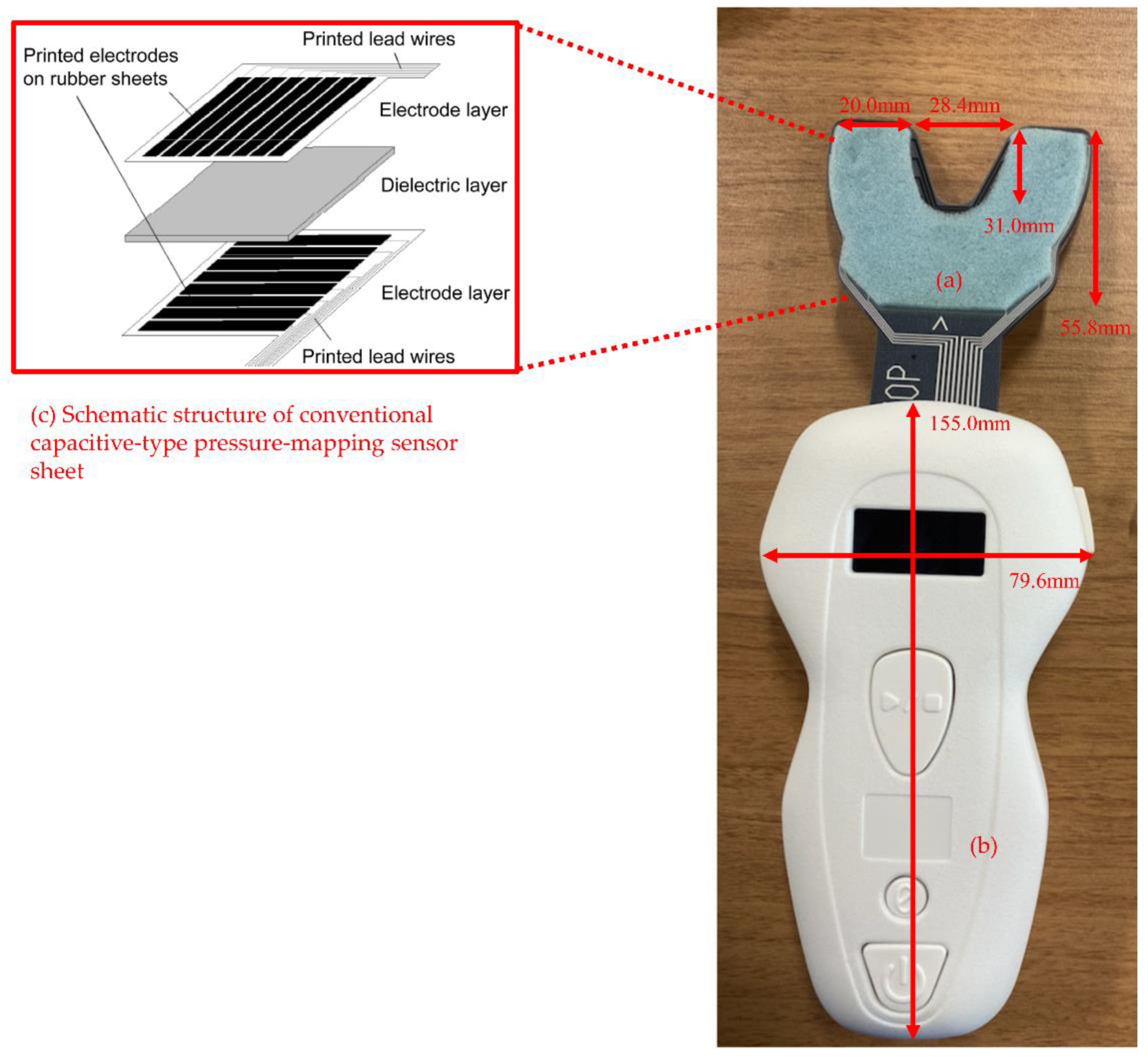 Ijerph 19 05588 g001 550