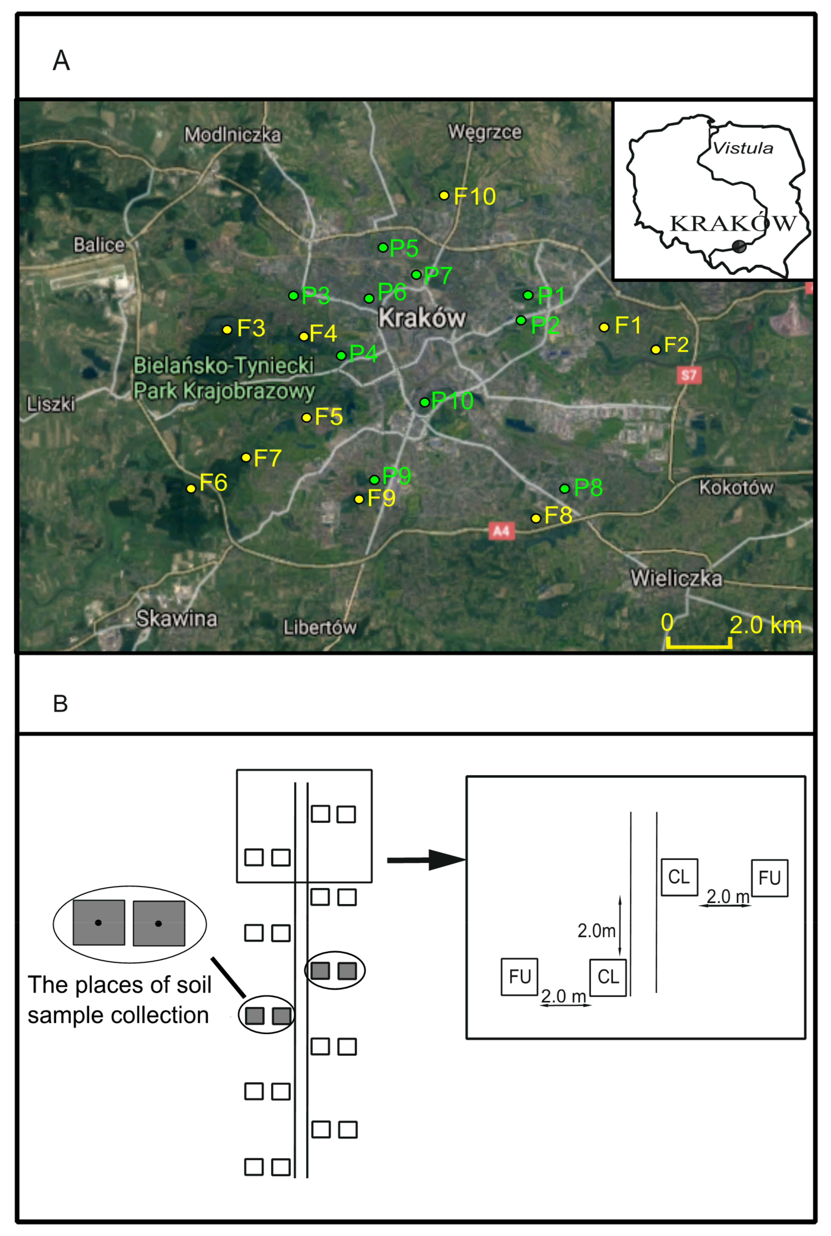 Ijerph 19 05621 g001