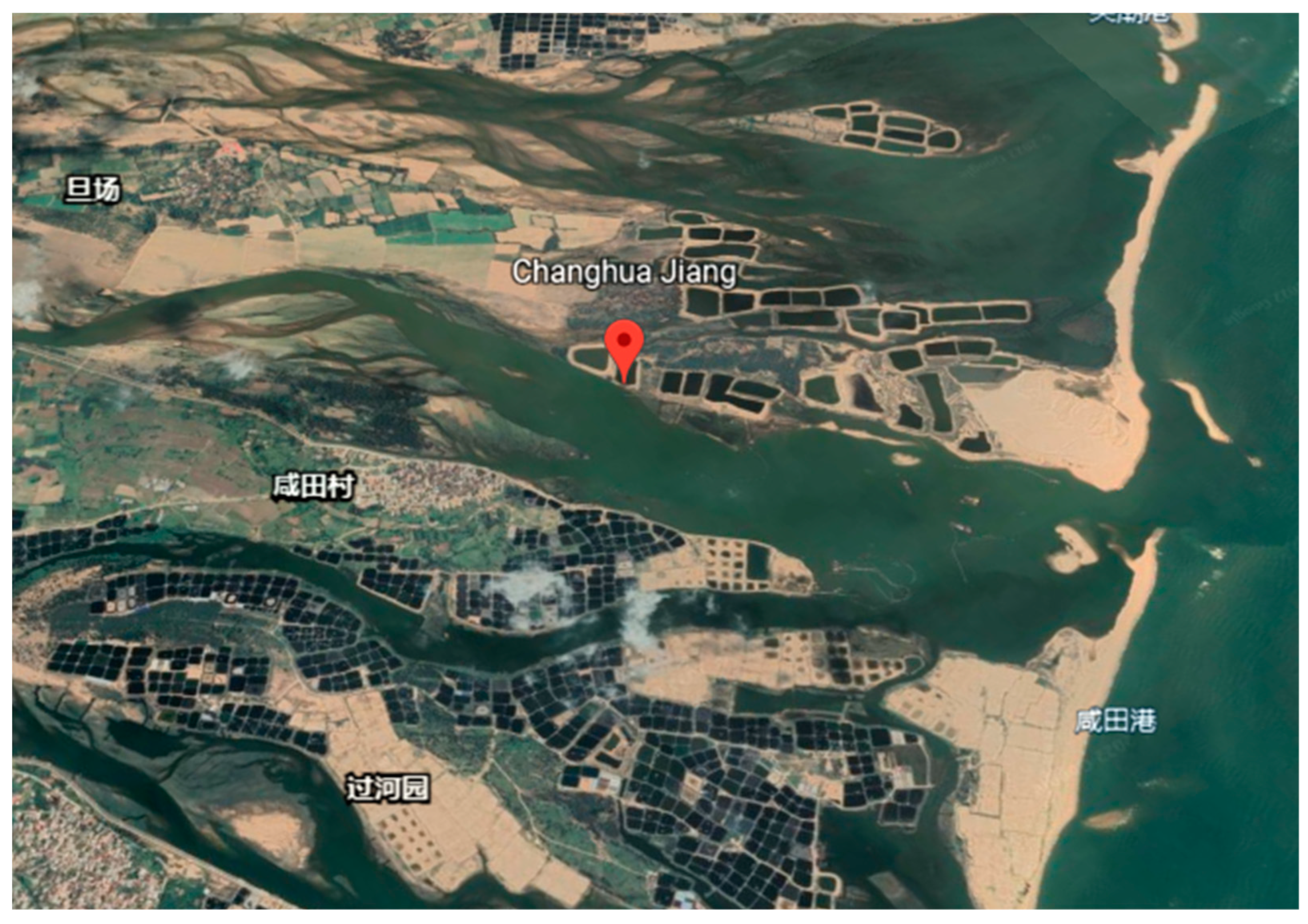 Ijerph 19 05673 g007 550