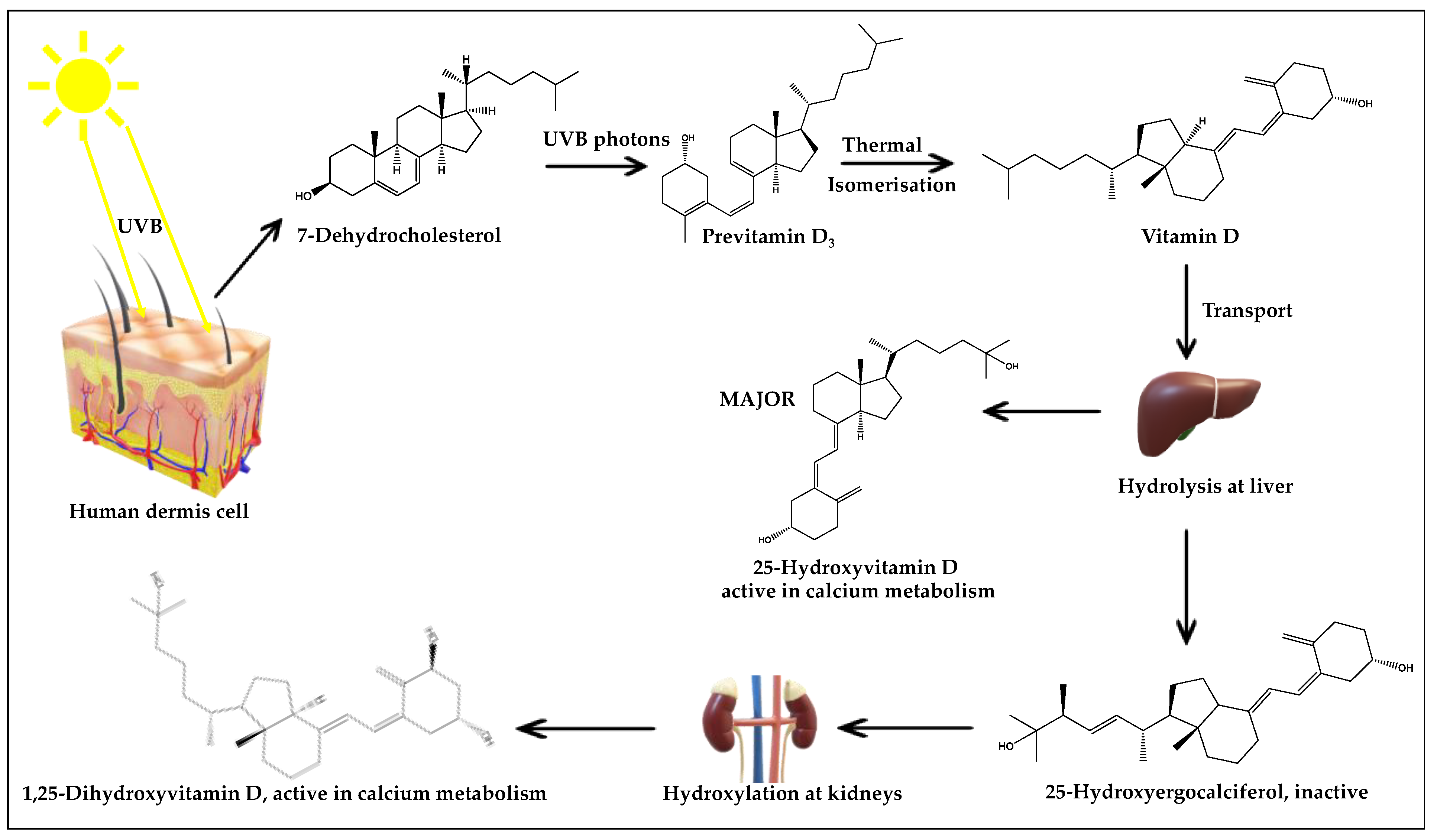 Ijerph 19 05681 g005 Ijerph 19 05681 g005