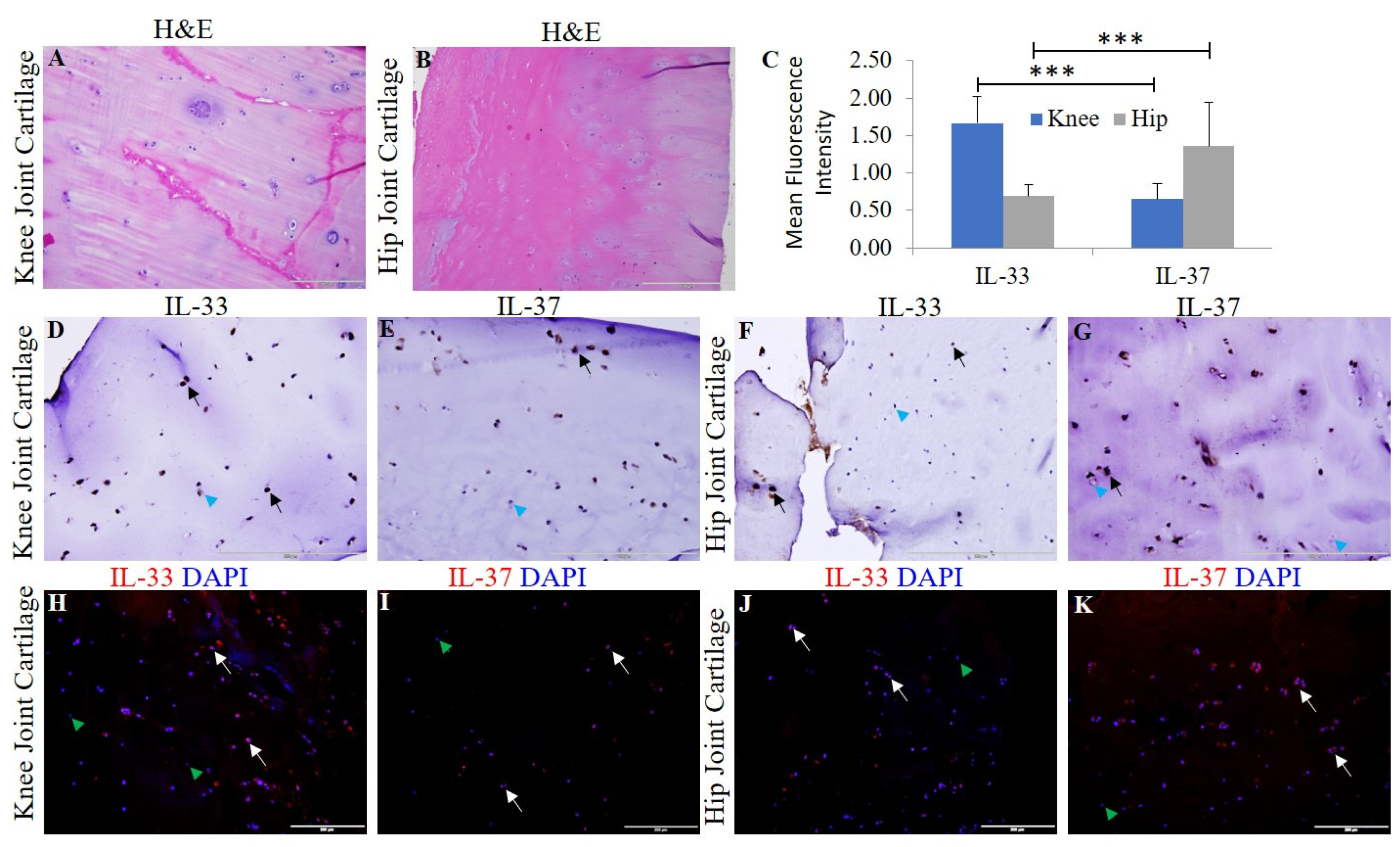 Ijerph 19 05690 g002