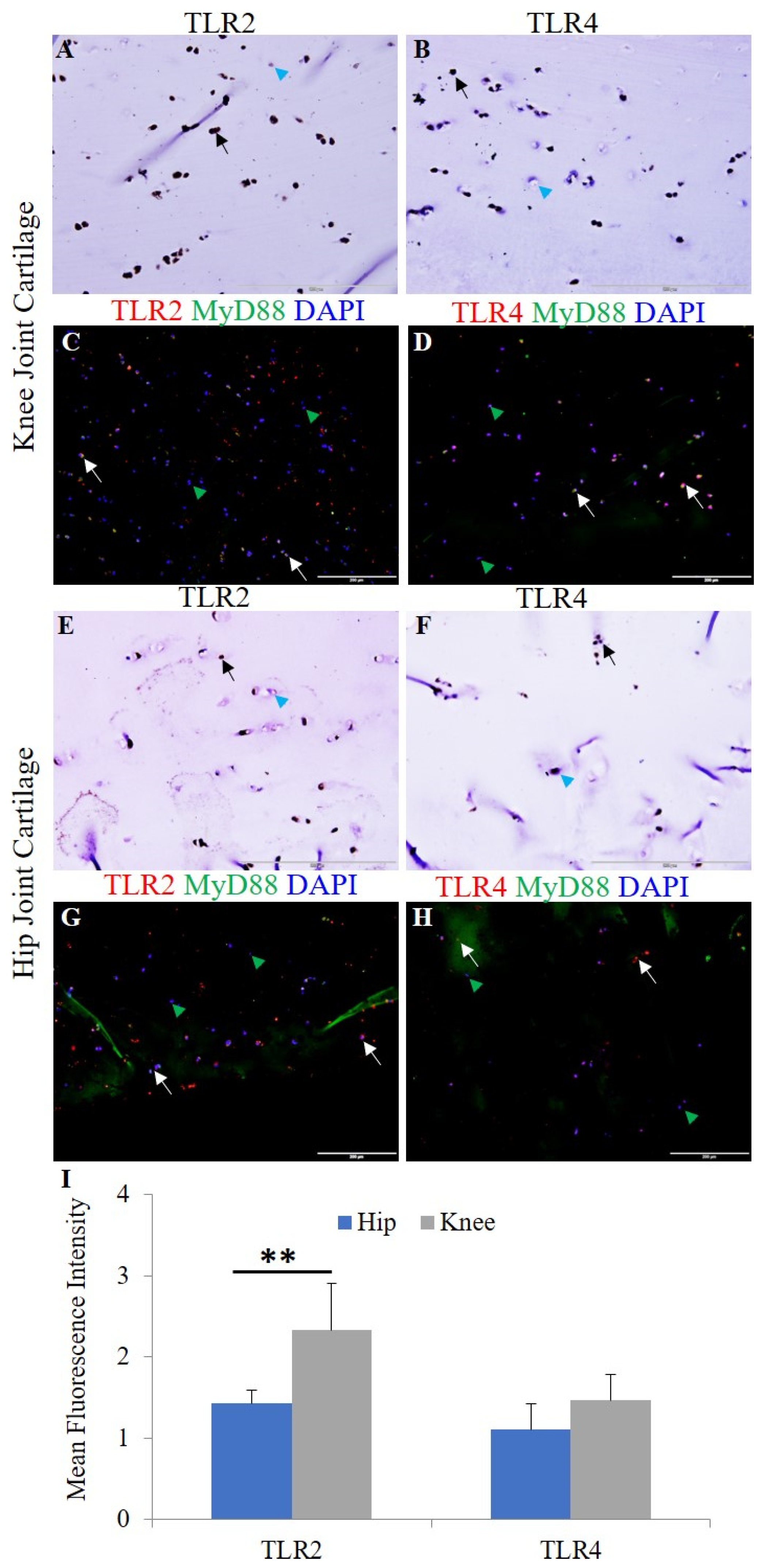 Ijerph 19 05690 g003
