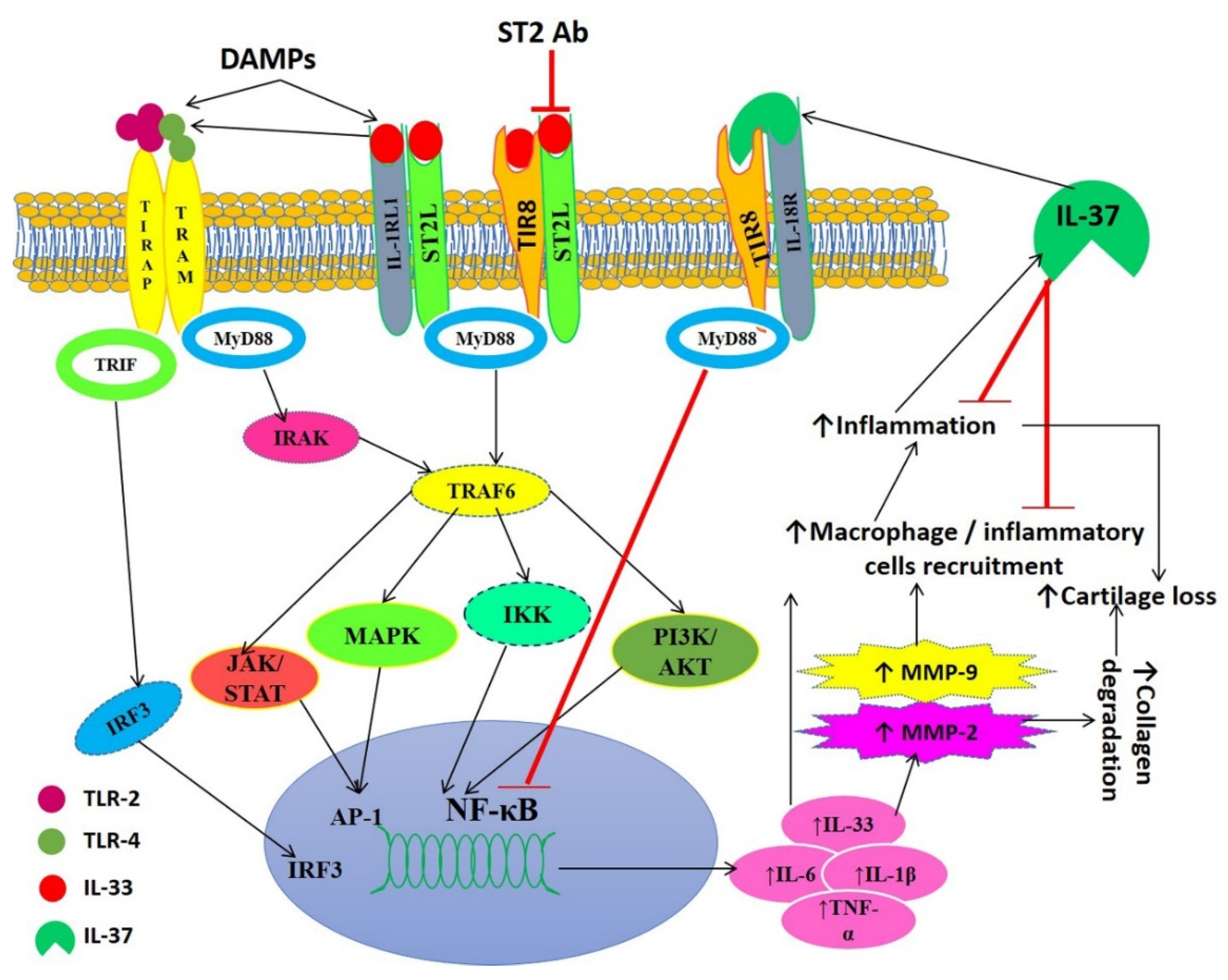 Ijerph 19 05690 g009