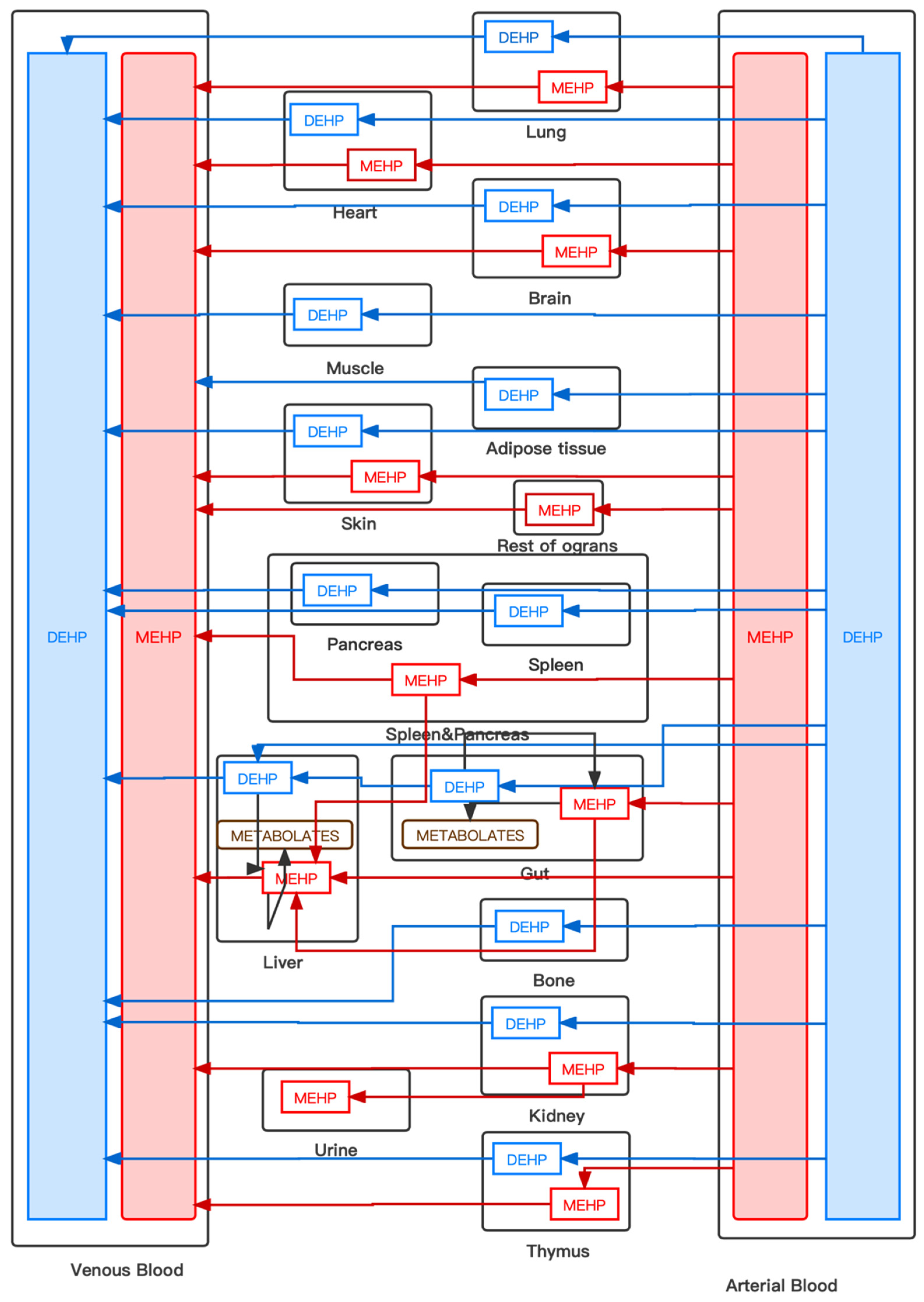 Ijerph 19 05742 g001