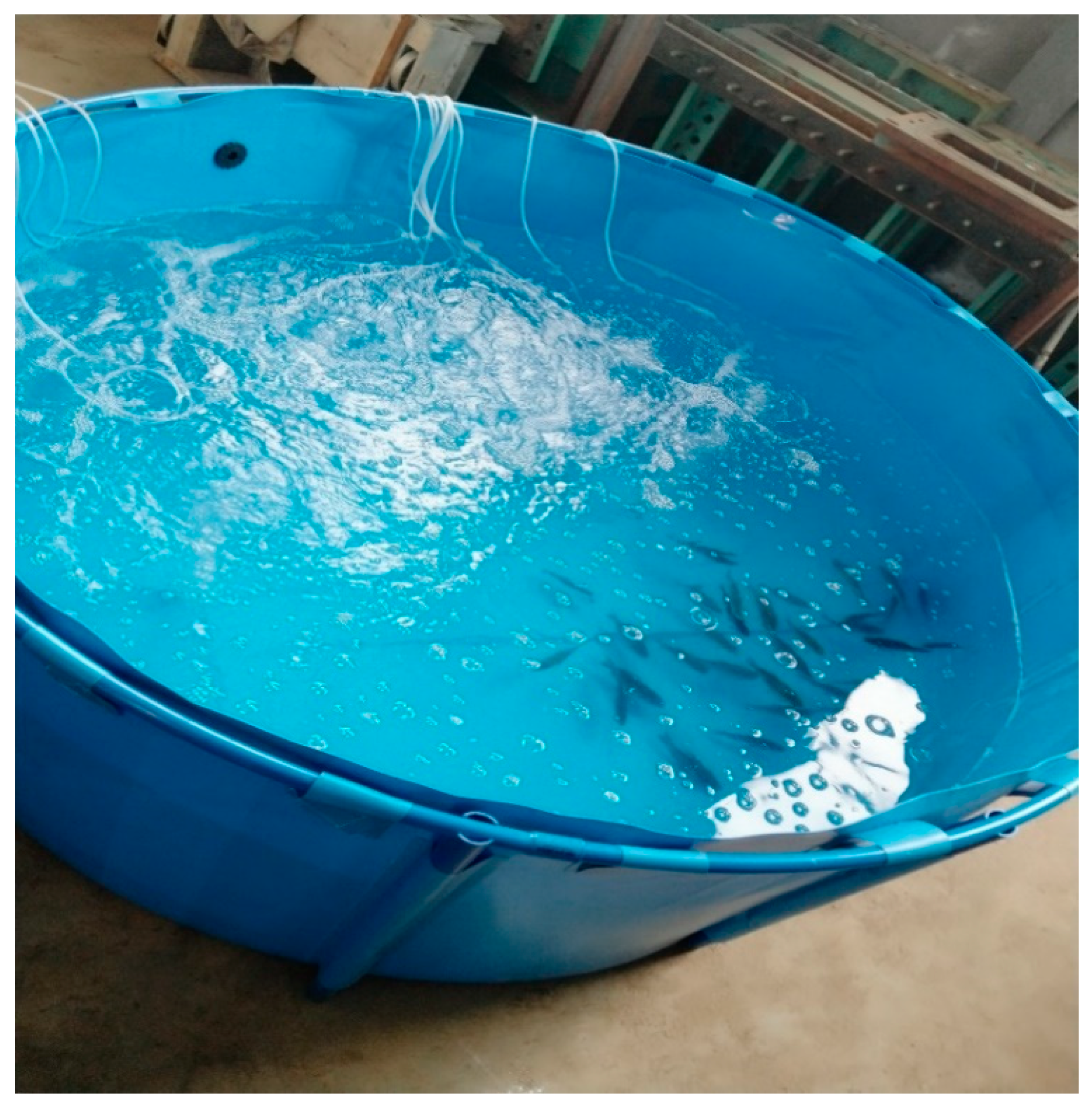 Ijerph 19 05744 g003 550