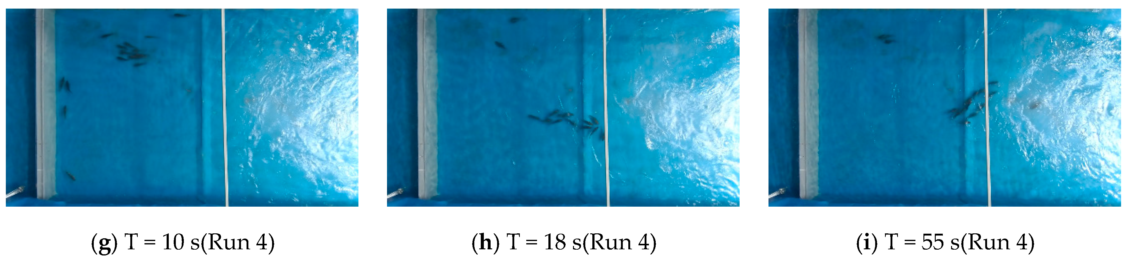 Ijerph 19 05744 g013b 550