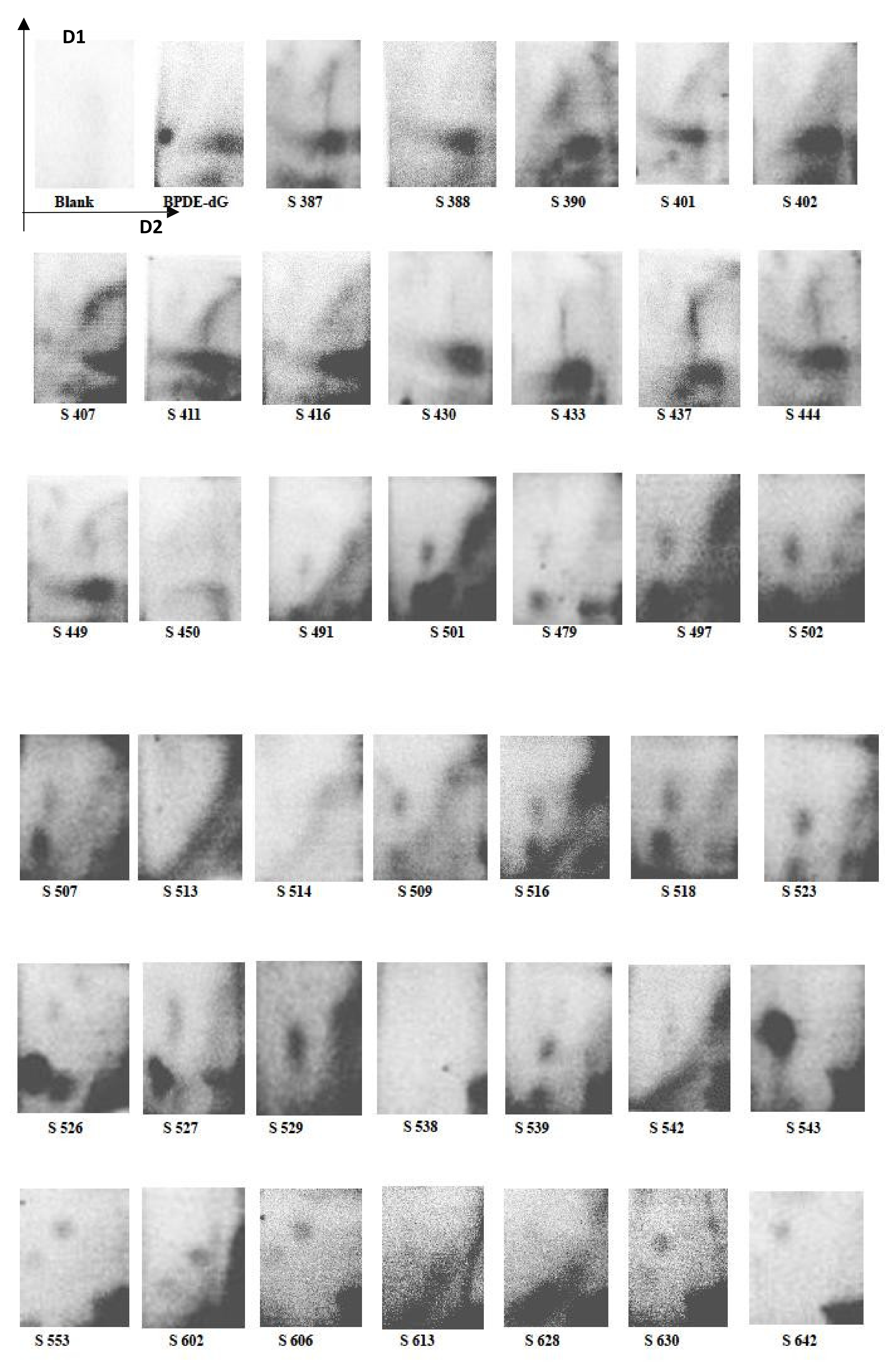 Ijerph 19 05761 g001 Ijerph 19 05761 g001