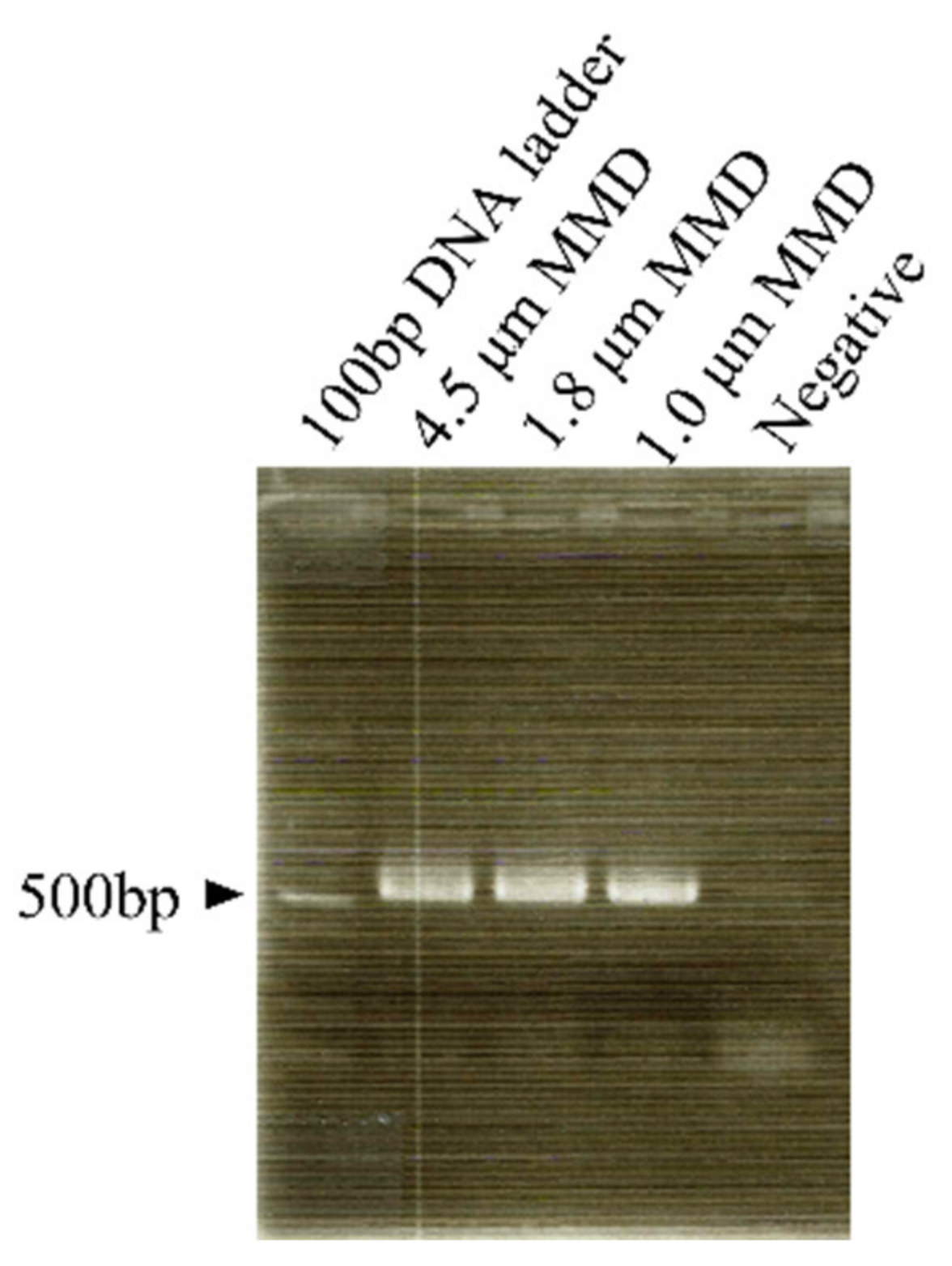 Ijerph 19 05773 g005