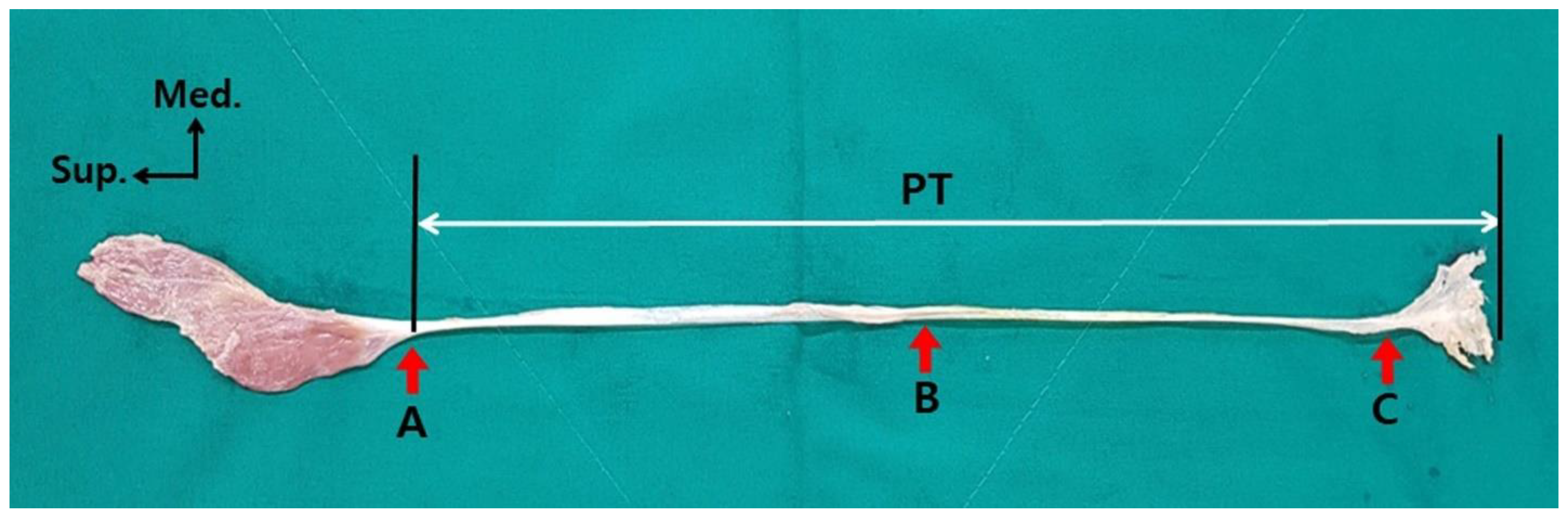 Ijerph 19 05795 g001 550