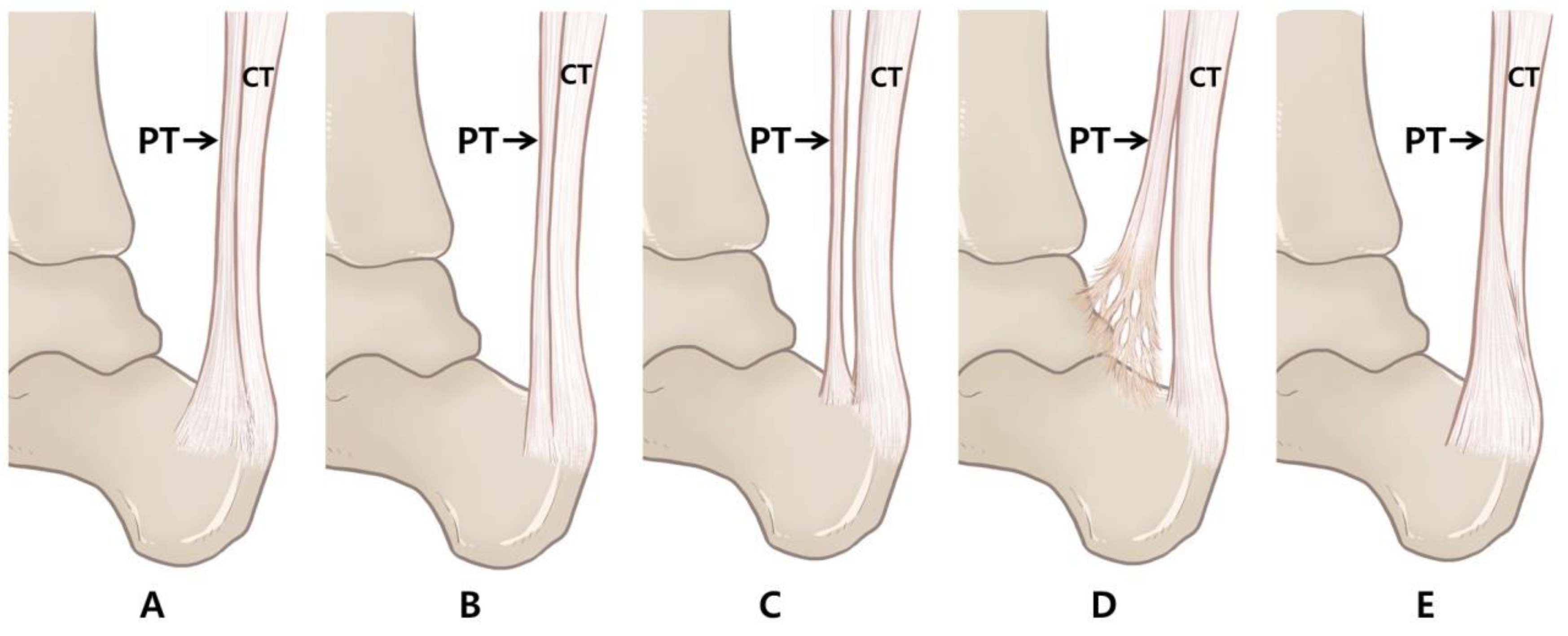 Ijerph 19 05795 g002 550