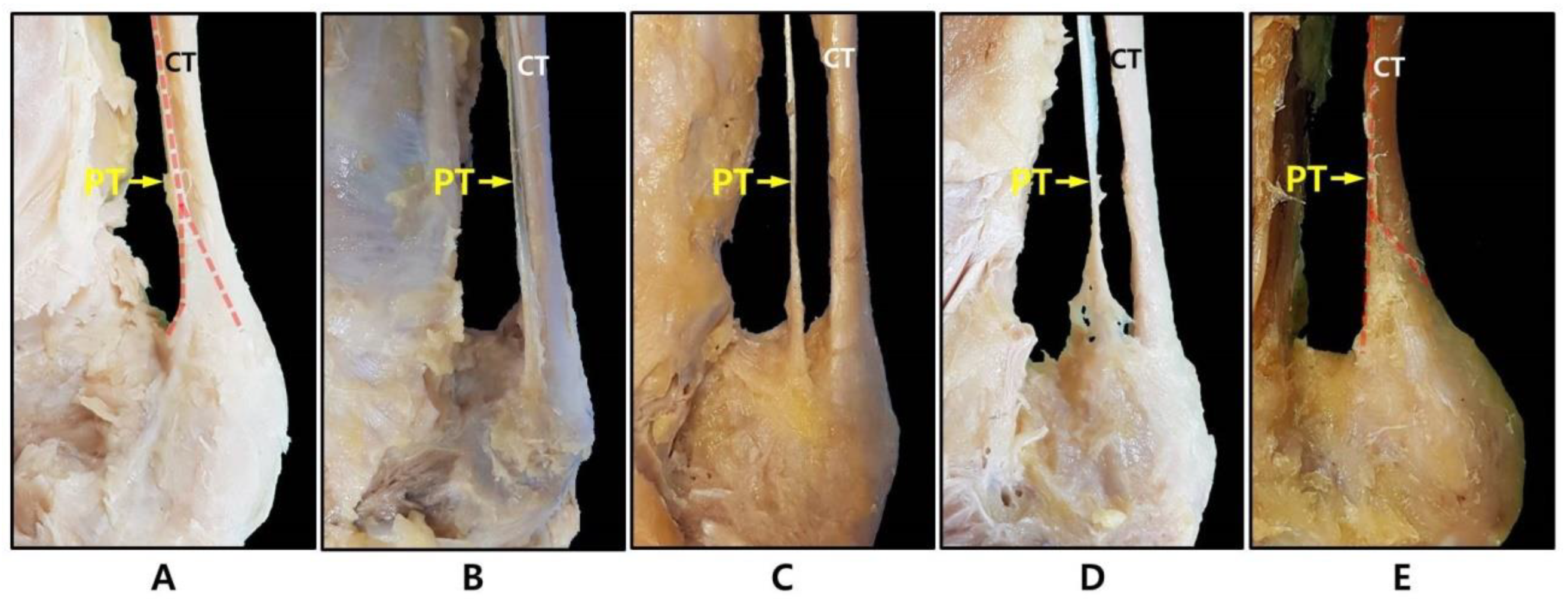 Ijerph 19 05795 g003 550