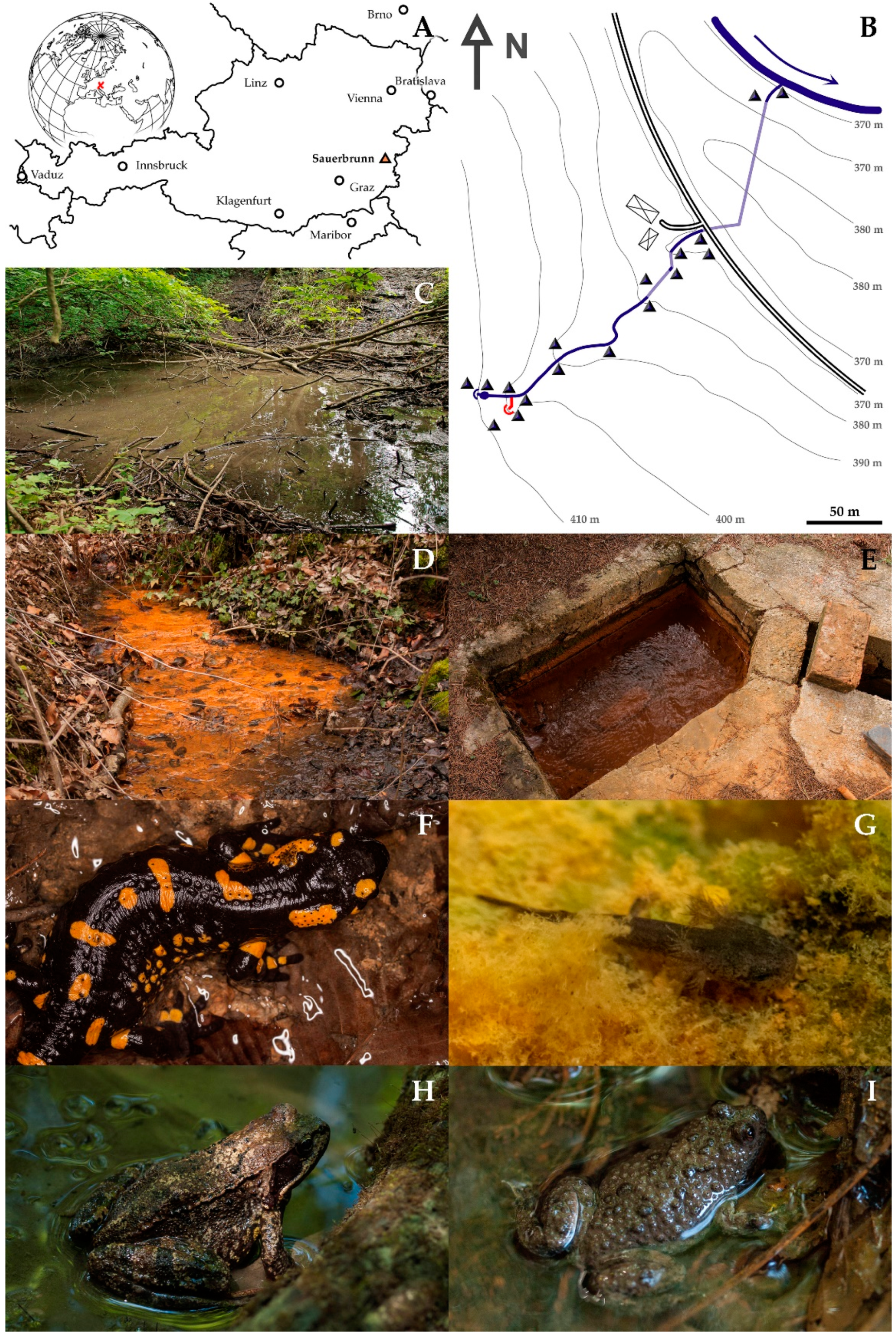 Ijerph 19 06010 g001