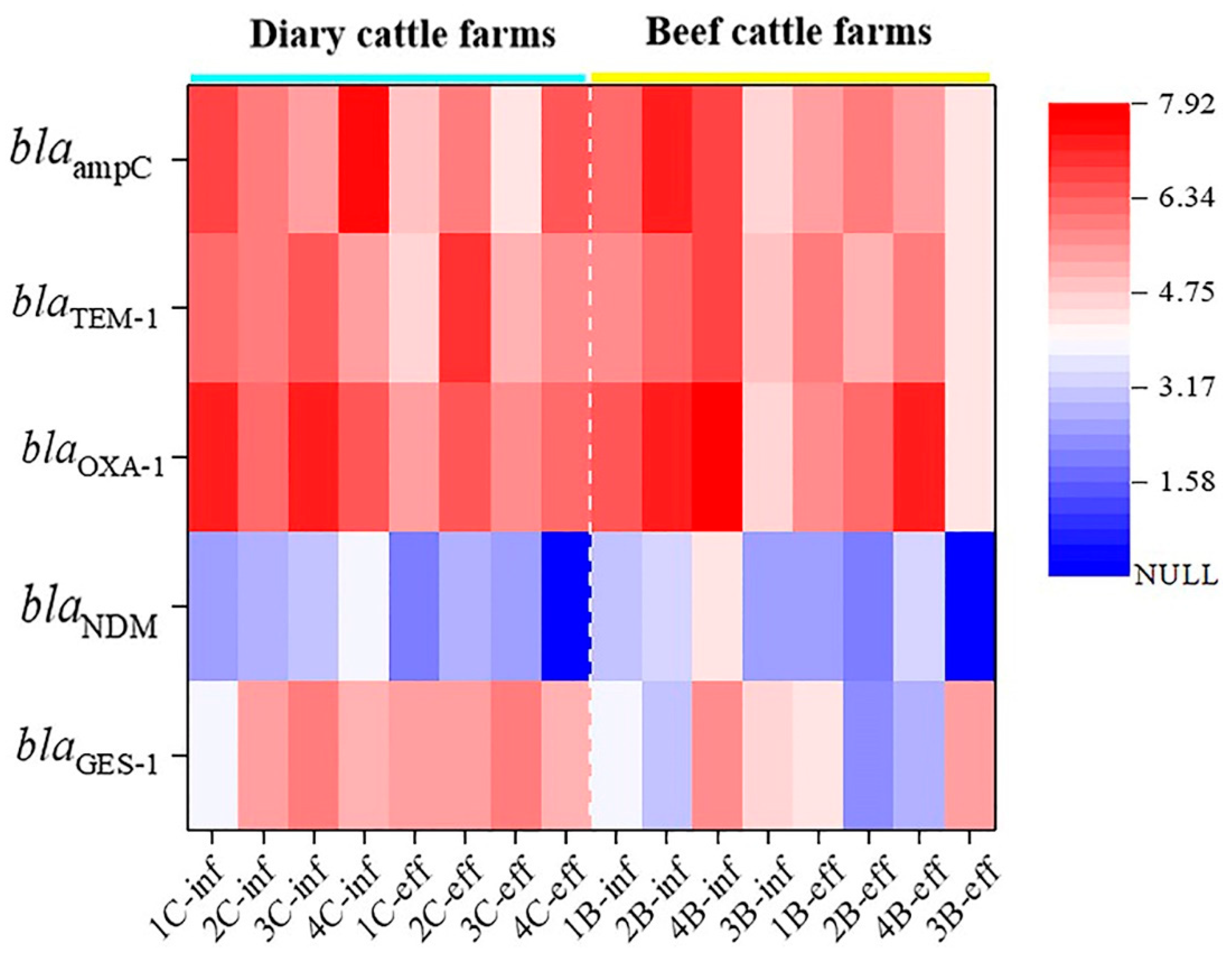 Prevalence of High-Risk β-Lactam Resistance Genes in Family Prevalence of High-Risk β-Lactam Resistance Genes in Family