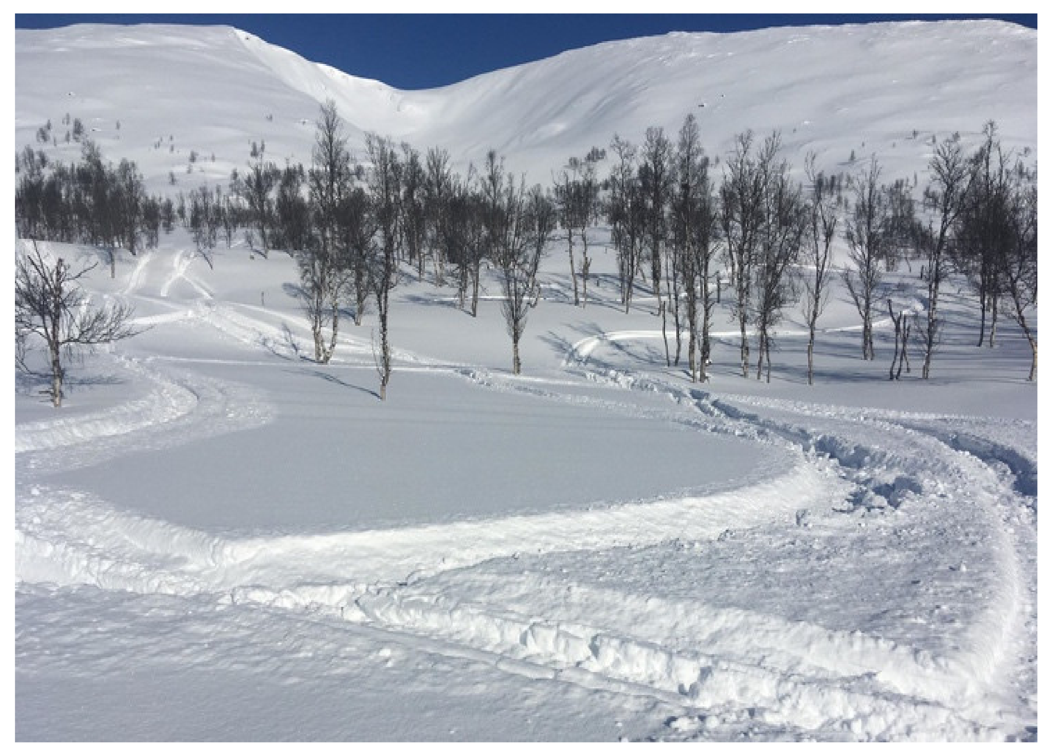 Ijerph 19 06040 g002 550