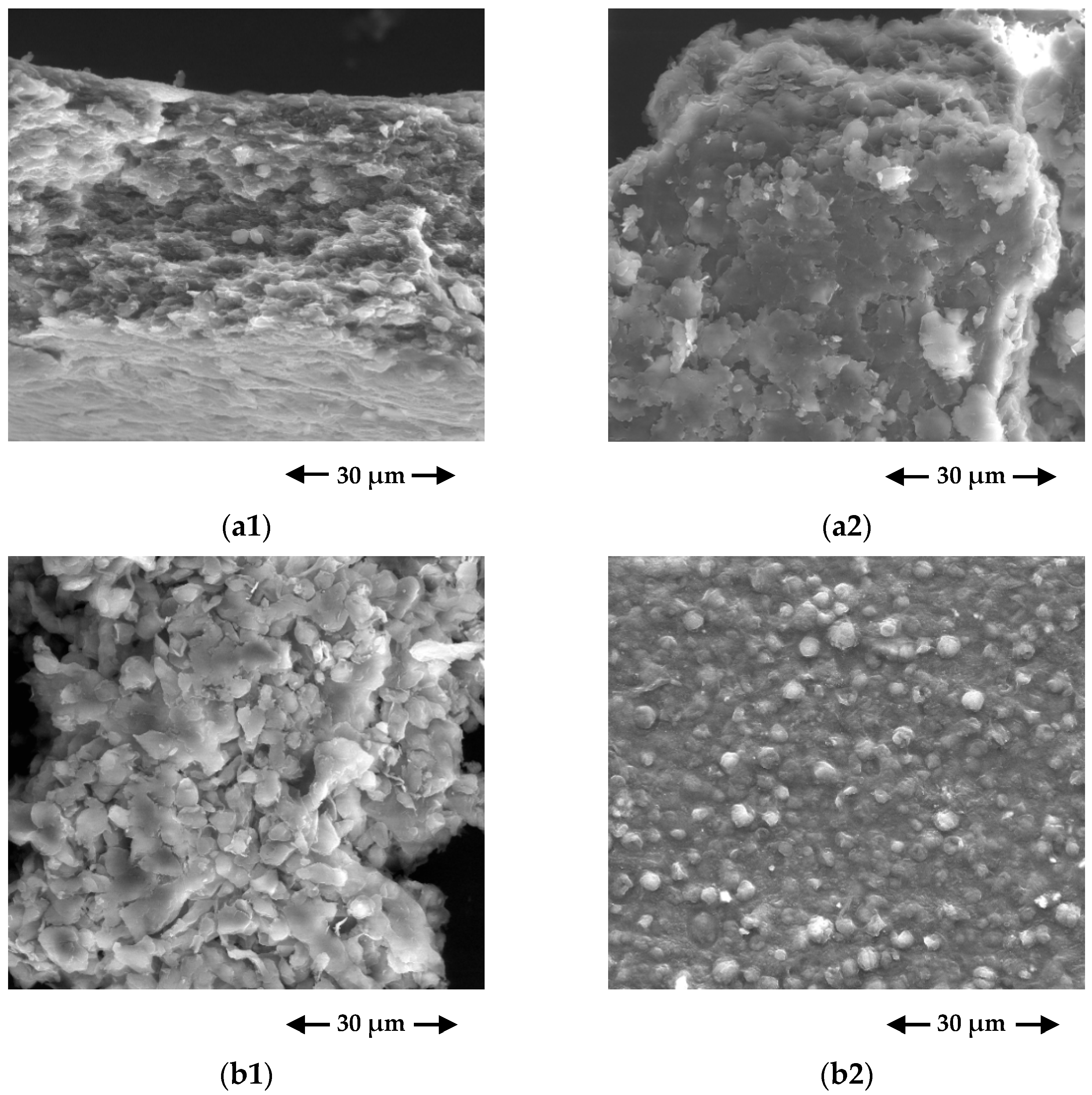 Ijerph 19 06081 g002 550