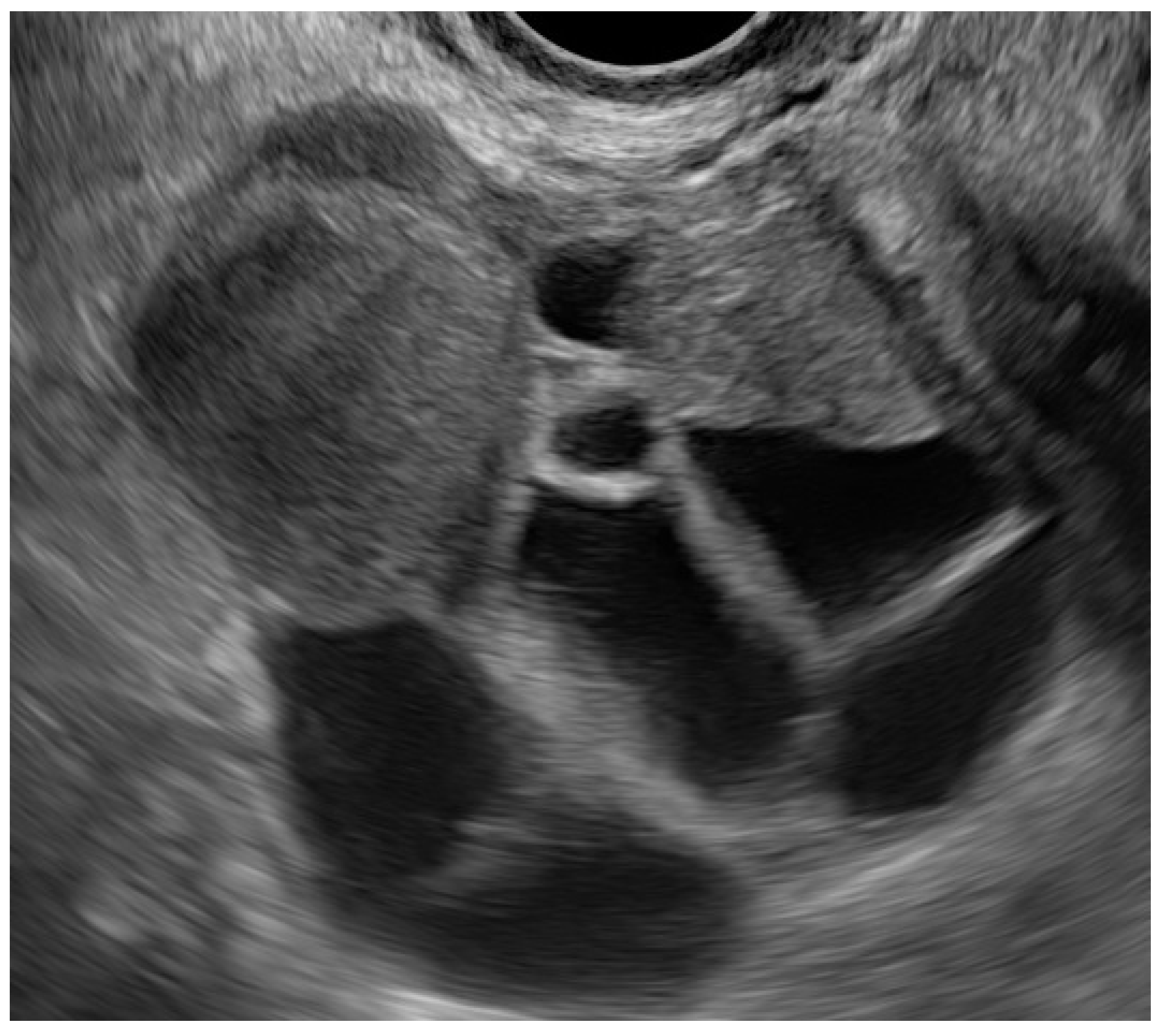 Ijerph 19 06162 g001 Ijerph 19 06162 g001